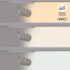 Proyector LED para carril trifásico 20W - DALI - CCT - CRI90 - Chip OSRAM