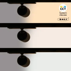 Proyector LED para carril trifásico 36W - DALI - CCT - CRI90 - Chip OSRAM