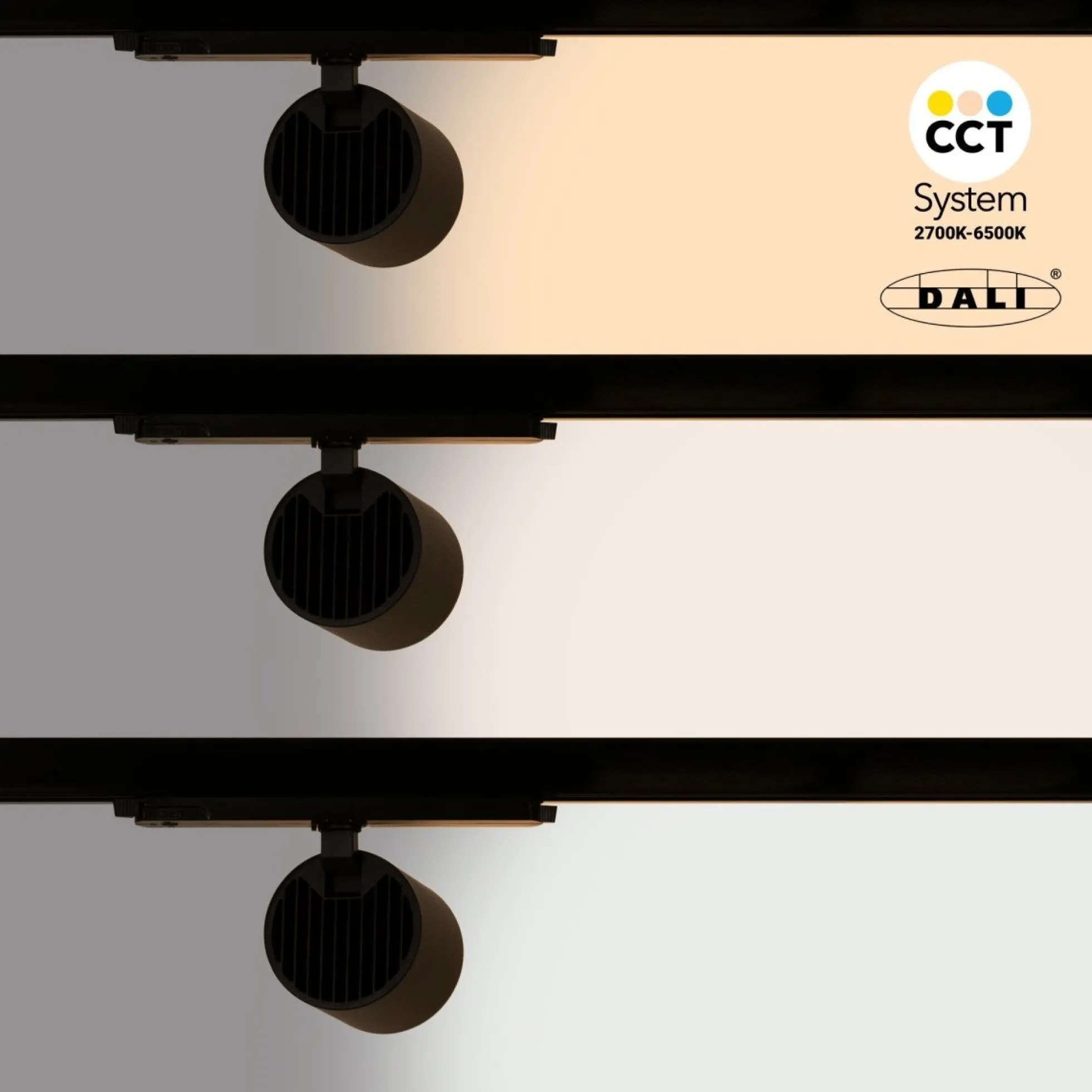 Proyector LED para carril trifásico 36W - DALI - CCT - CRI90 - Chip OSRAM