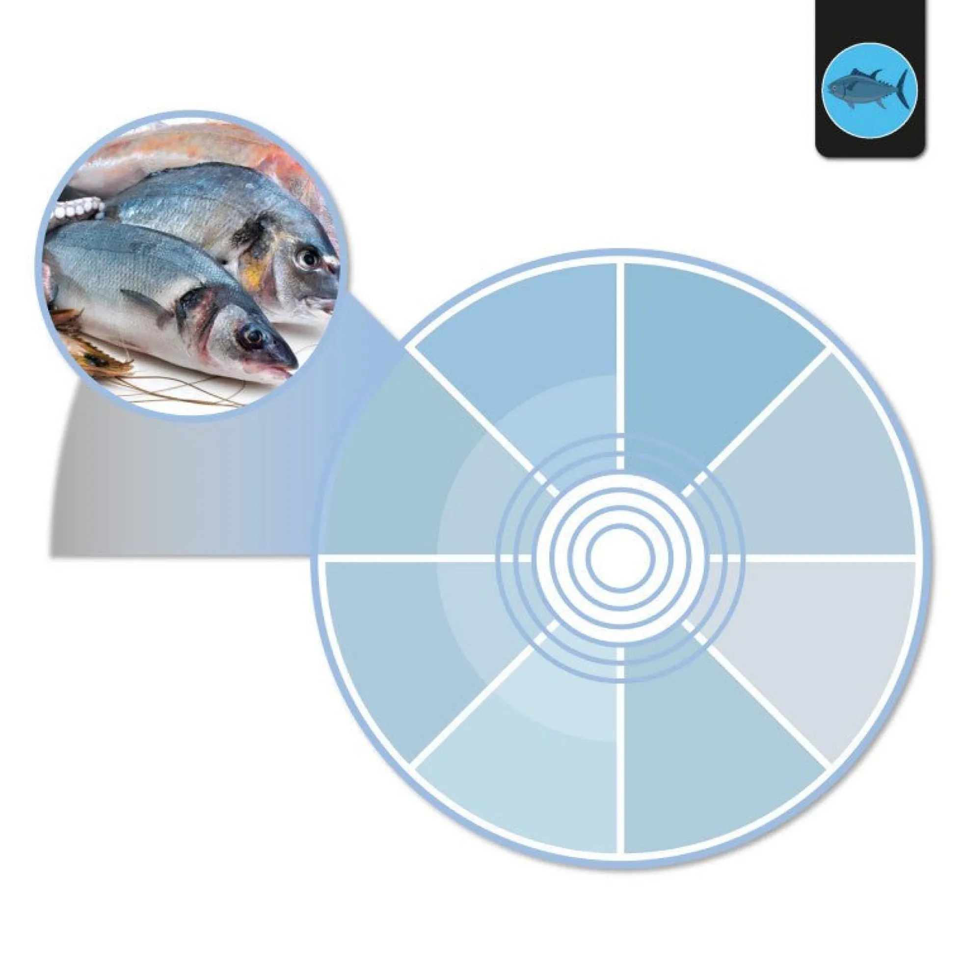 Proyector LED para carril trifásico 40W - Pescados y Mariscos - Driver Philips Xitanium