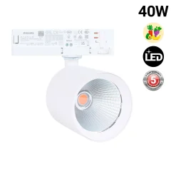 Proyector LED para carril trifásico 40W - Fruterías y verdulerías - Driver Philips Xitanium