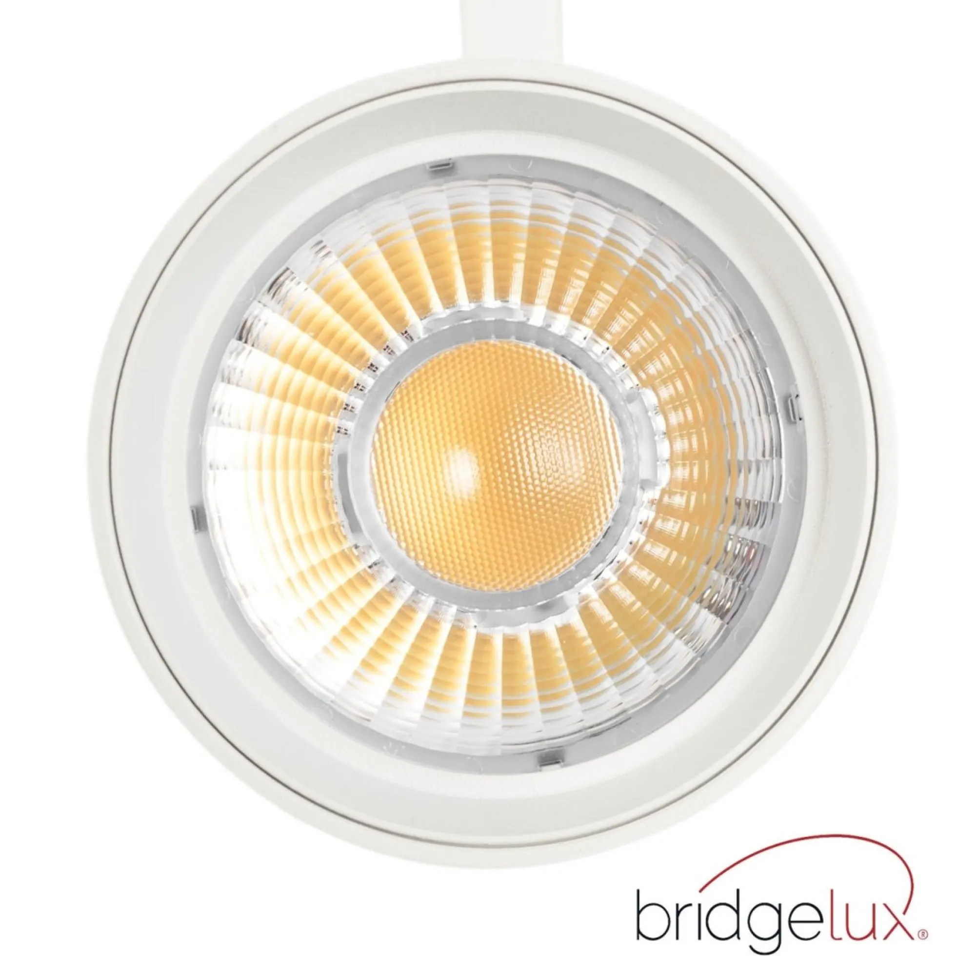 Proyector LED para carril trifásico 36W - CCT - TRIAC regulable - CRI90 - 3300 lm
