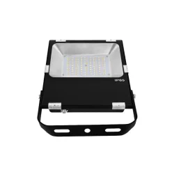 Proyector LED RGB+CCT - 50W - 4200lm - control por RF y WiFi - IP65