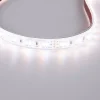 Tira de LED 24V-DC - 90W - IP67 - Temperatura de color regulable CCT - 1800-6500K - SMD2835 - Rollo 5 metro