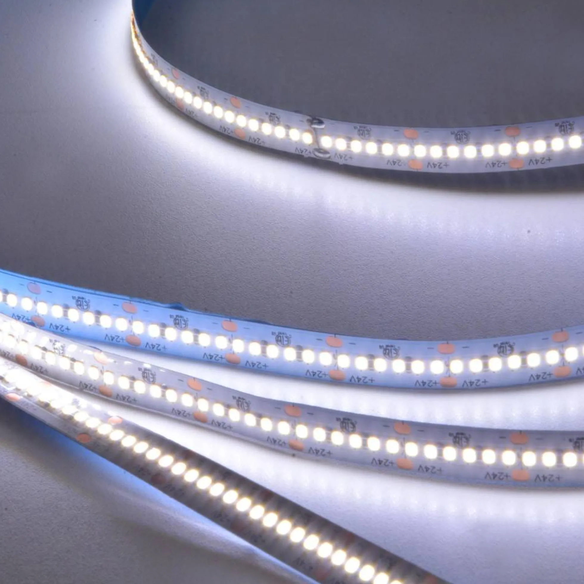 Tira de LED 24V-DC 26W/m CRI90 monocolor IP20 Rollo 5 metros