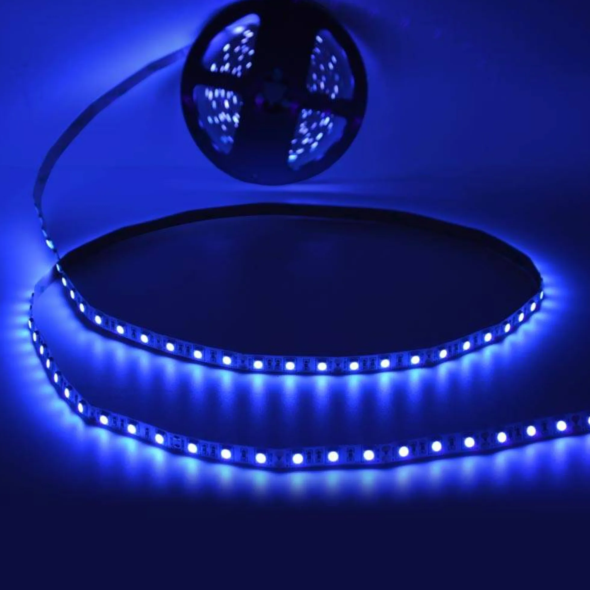 Tira de LED 12V-DC 70W 10mm ultravioleta IP20 (SMD5050 60ch/m) Rollo 5 metros