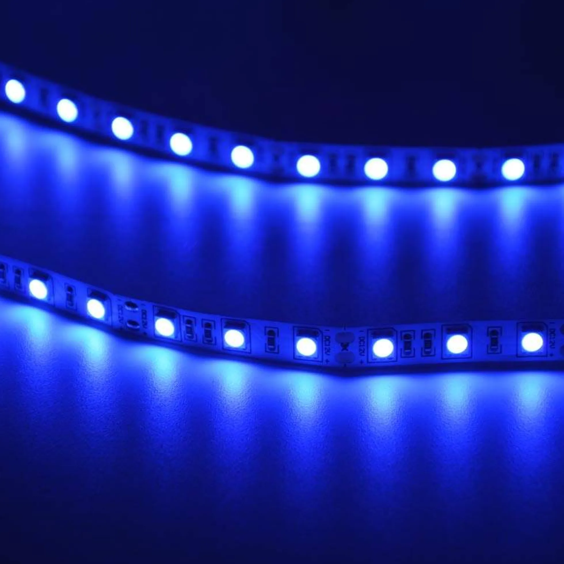 Tira de LED 12V-DC 70W 10mm ultravioleta IP20 (SMD5050 60ch/m) Rollo 5 metros