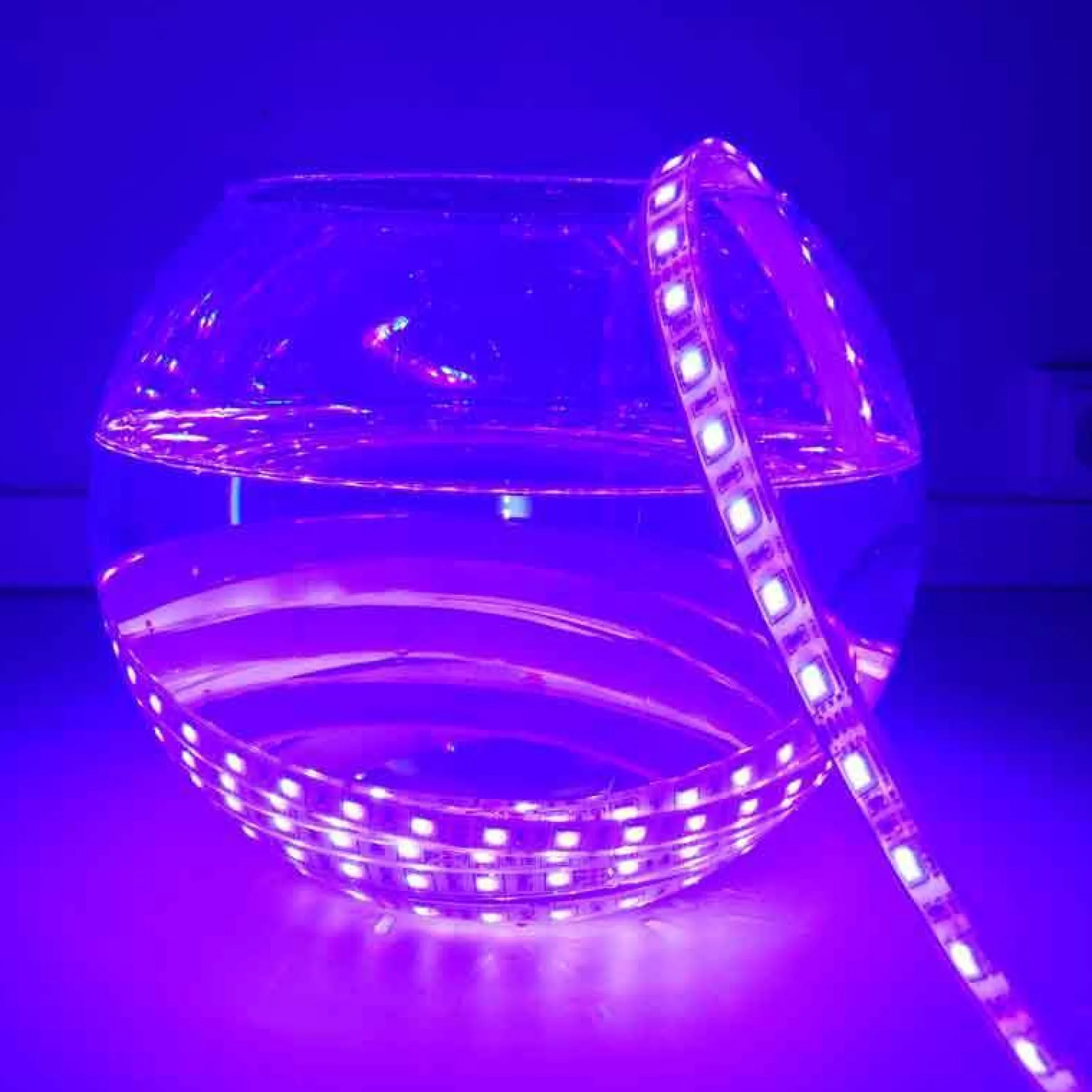 Tira de LED 24V-DC 72W multicolor RGB IP67 Rollo 5 metros