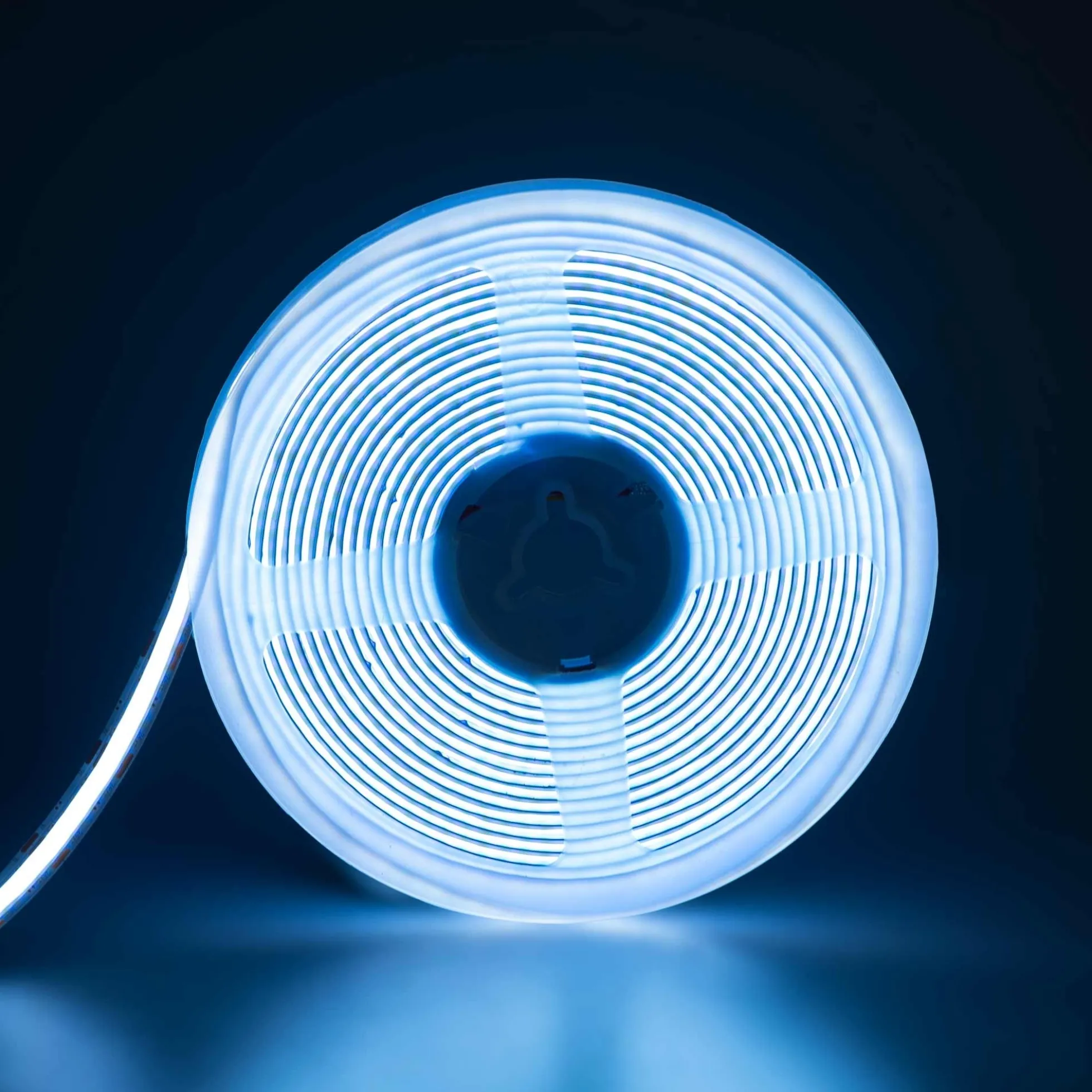 Tira LED COB Dual White - 24V DC - 14W/m - 8mm - 600 LED/m - IP20 - 5 metros
