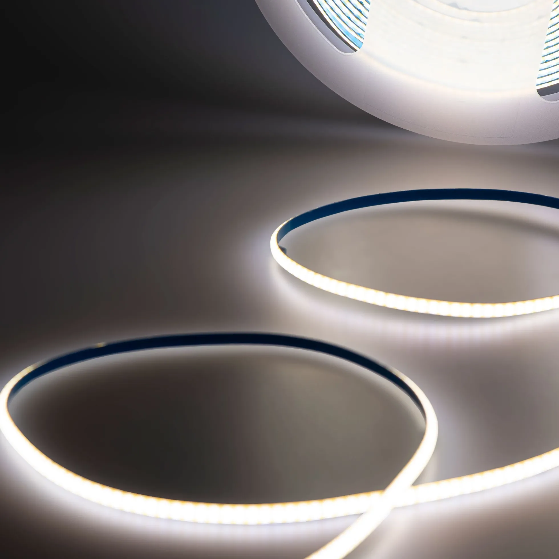 Tira LED COB monocolor - 24V DC - 8W/m - 3mm - 400 LED/m - IP20 - 5 metros
