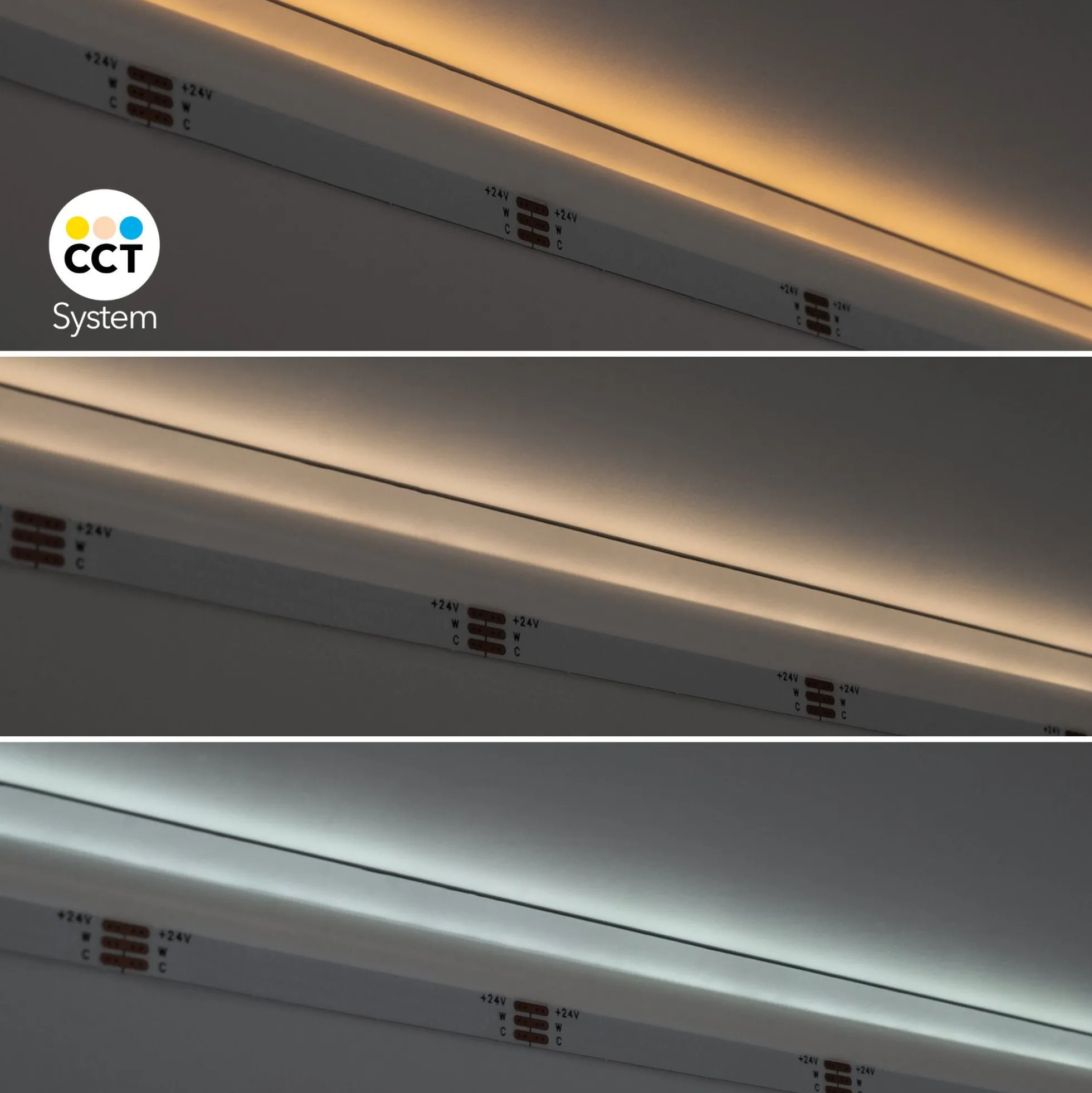 Tira LED COB 24V DC CCT - Emisión lateral - 12W/m - 10mm - IP20 - Corte c/ 5cm - Rollo de 5 metros