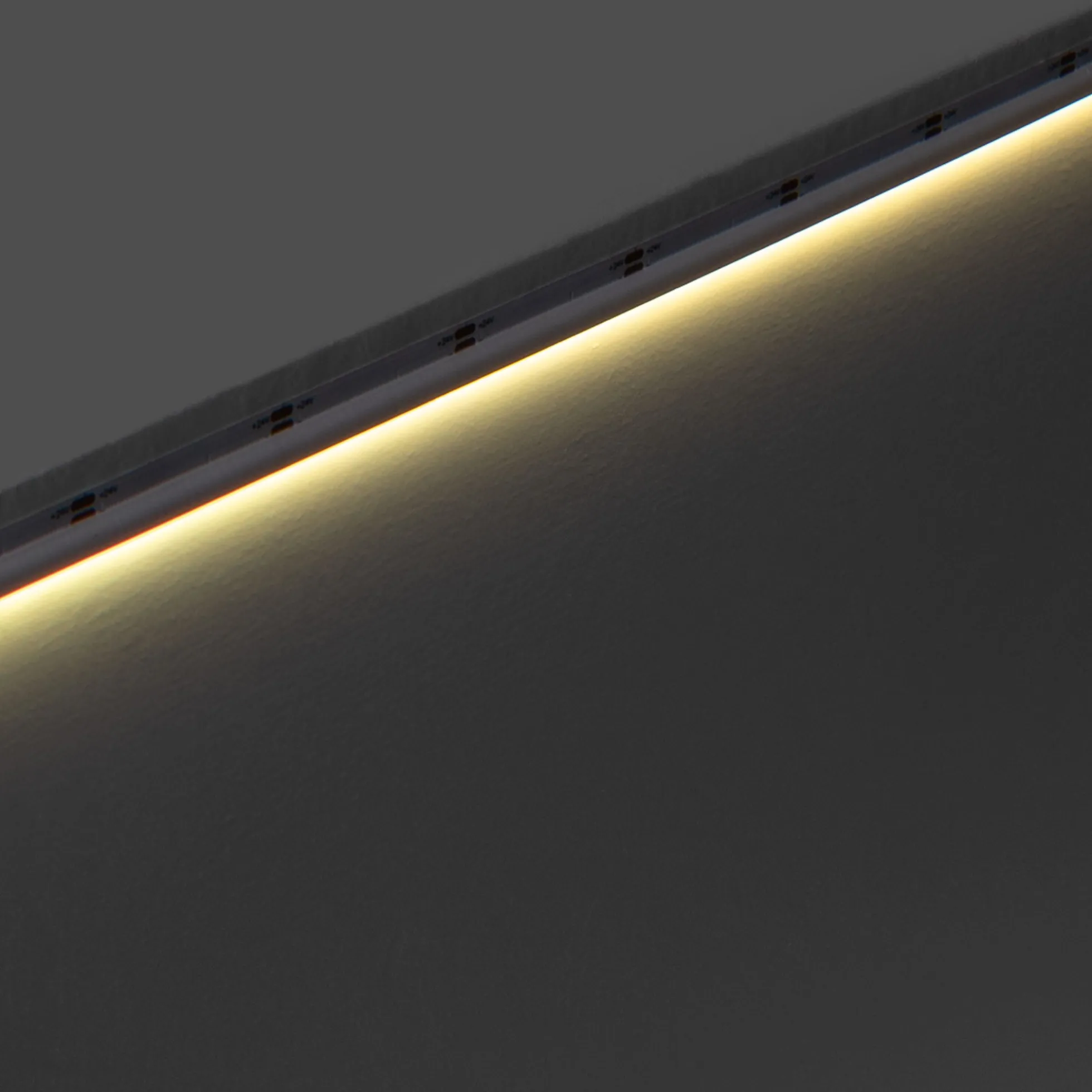 Tira LED COB 24V DC monocolor - Emisión lateral - 9W/m - 8mm - IP20 - Corte c/ 3cm - Rollo de 5 metros