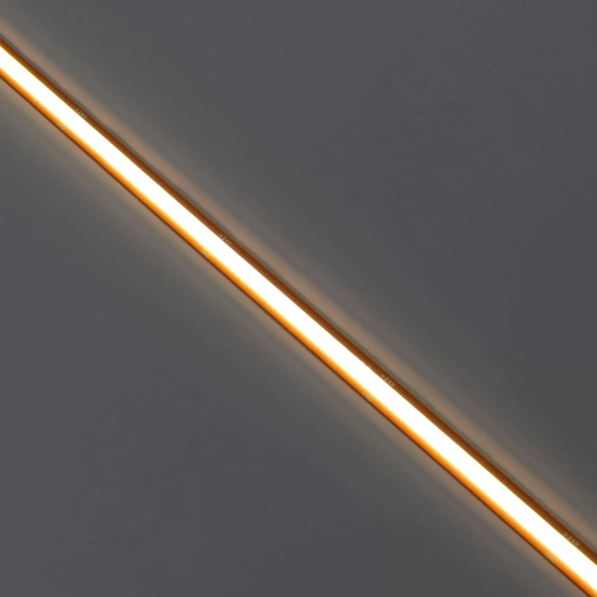 Tira LED COB 24V DC -Monocolor - FREE CUT - 11W/m - 8mm - IP20 - Rollo de 5 metros