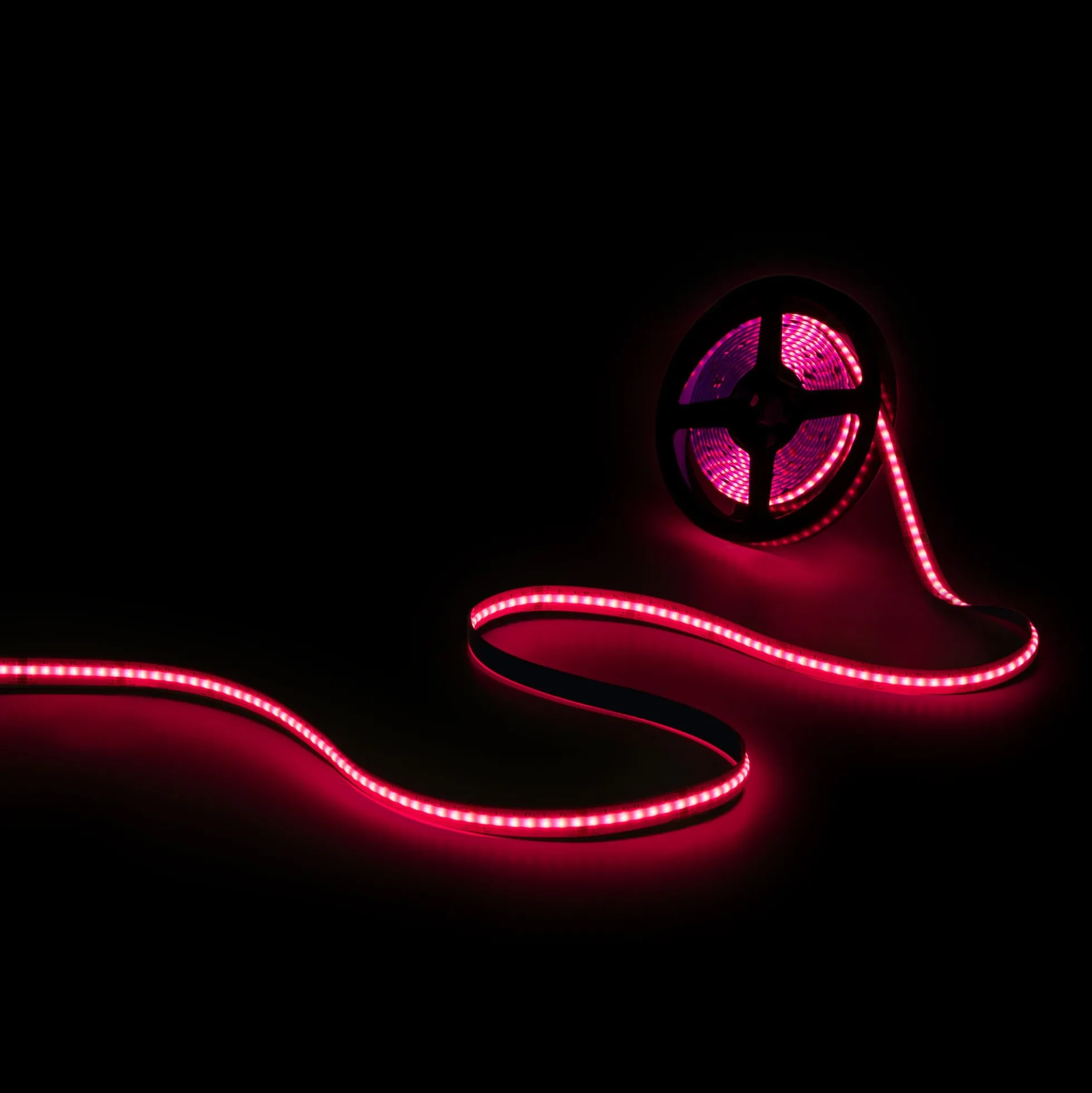Tira LED COB 24V DC - RGB + CCT - 19W/m - 12mm - IP20 - Rollo de 5 metros