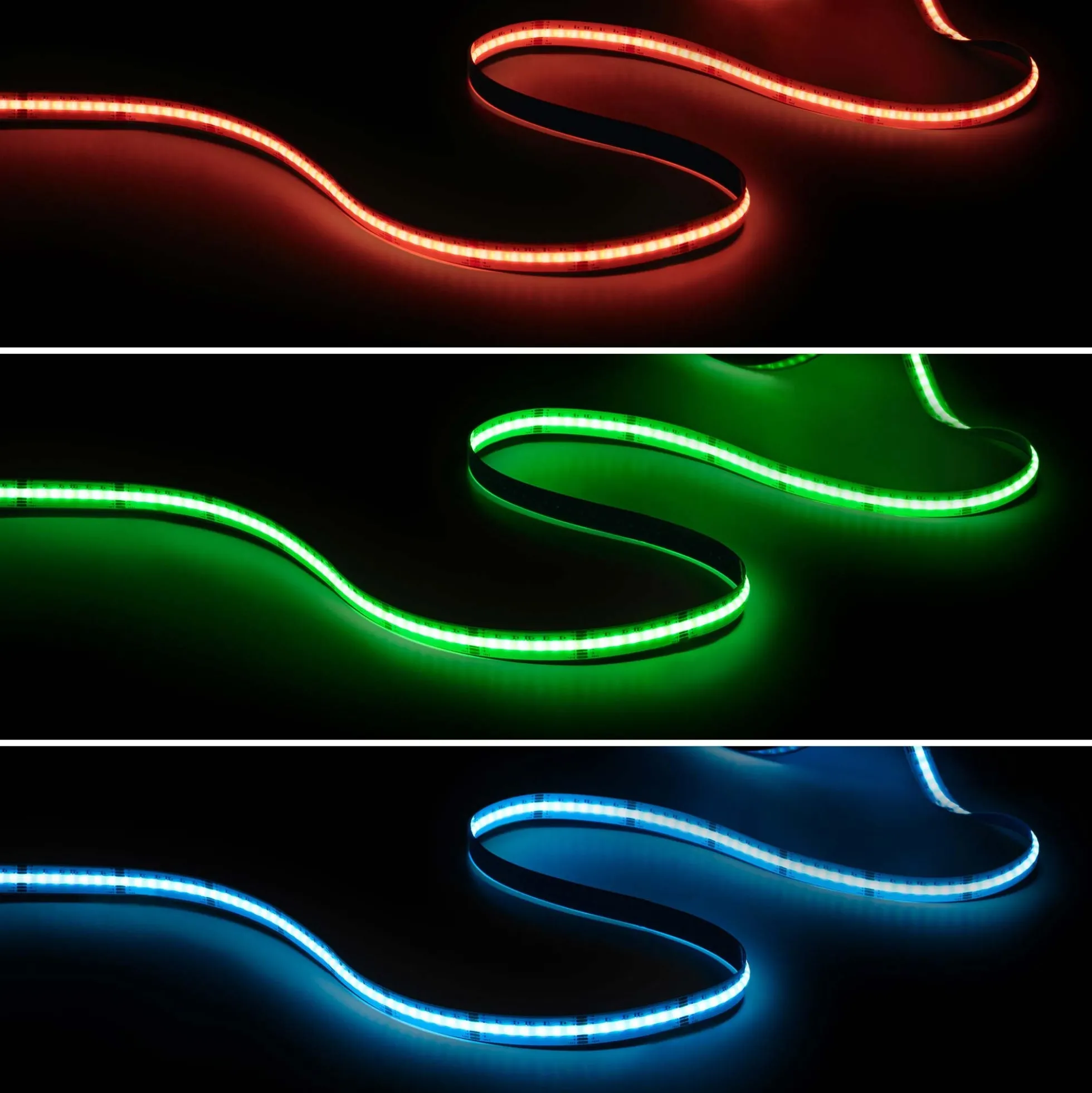Tira LED COB 24V DC - RGB + CCT - 19W/m - 12mm - IP20 - Rollo de 5 metros