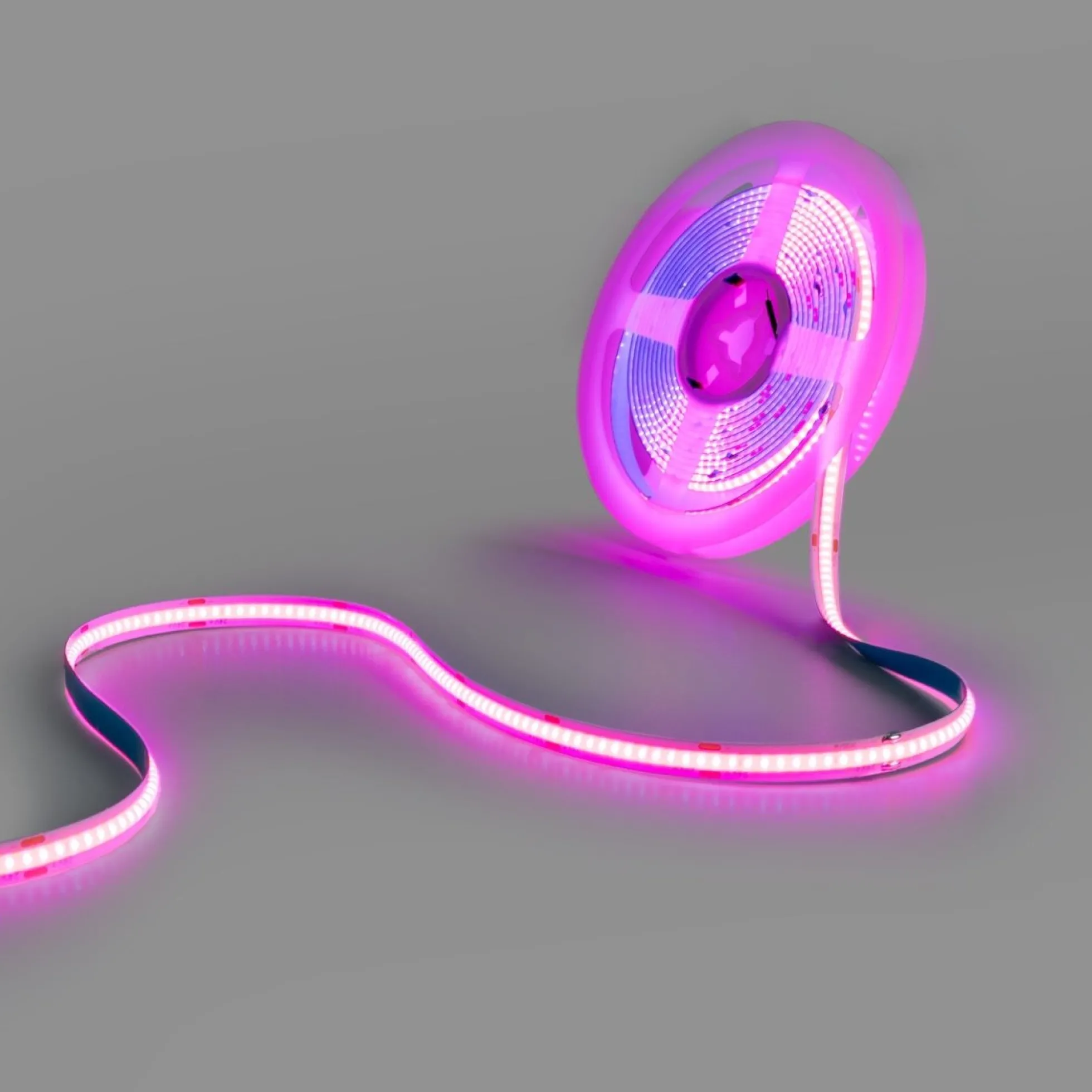 Tira LED COB 24V DC - 12W/m - Colores - 8mm - IP20 - Rollo de 5 metros - Corte cada 4cm