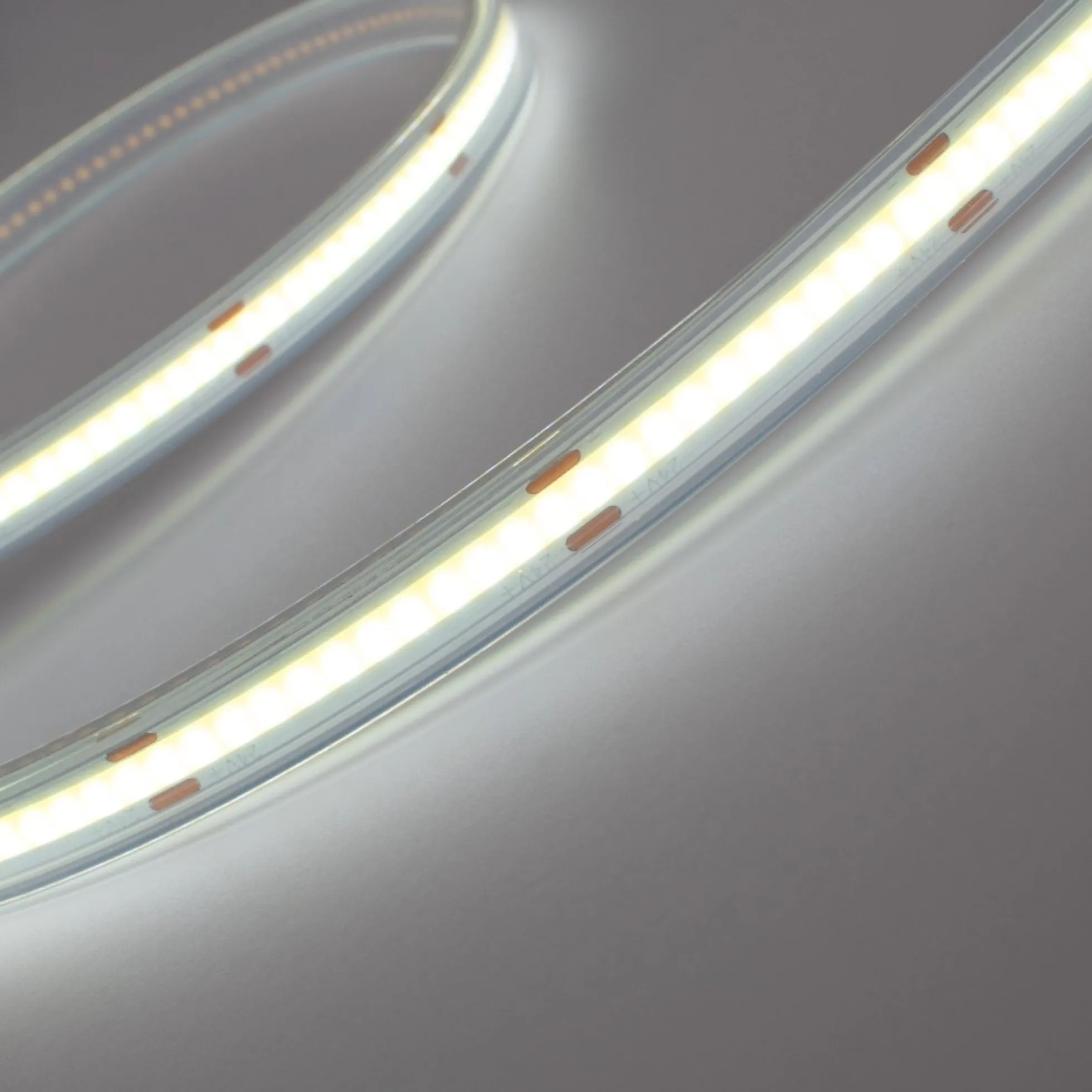 Tira LED COB 24V DC - 12W/m - 10mm - IP67 - Rollo de 5 metros - Corte cada 4cm