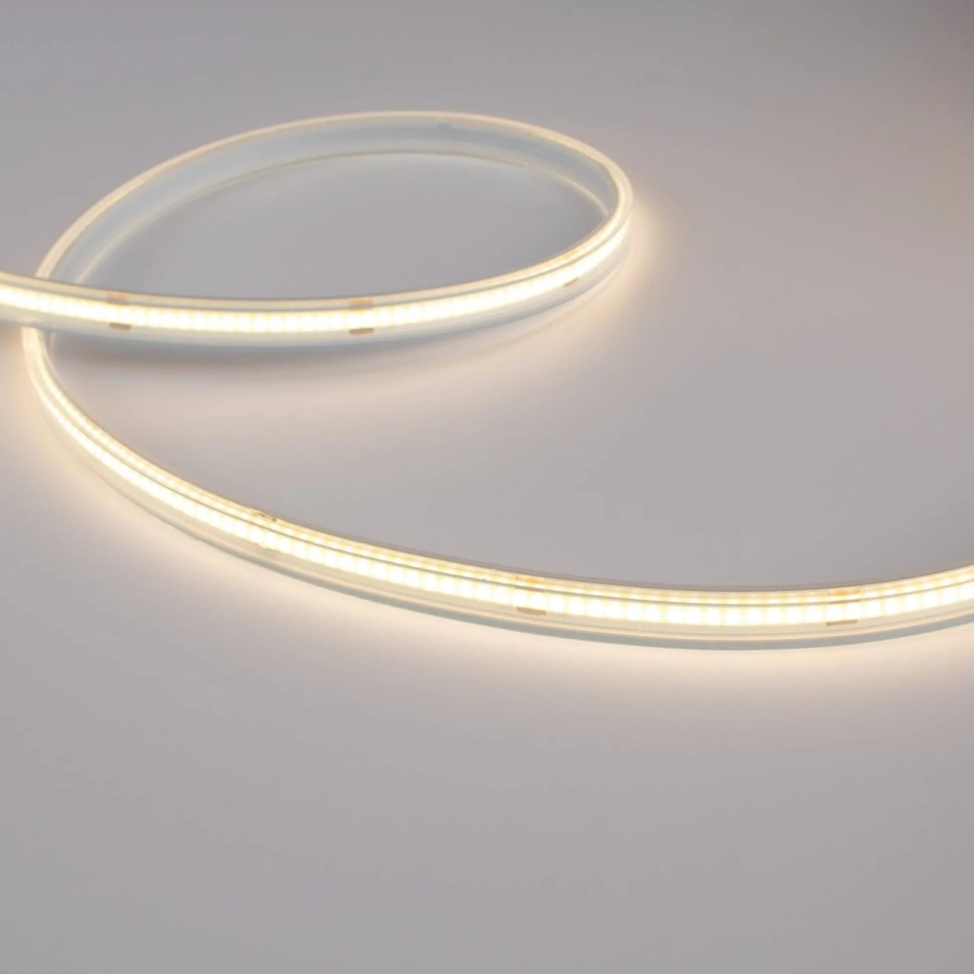Tira LED COB 24V DC - 12W/m - 10mm - IP67 - Rollo de 5 metros - Corte cada 4cm