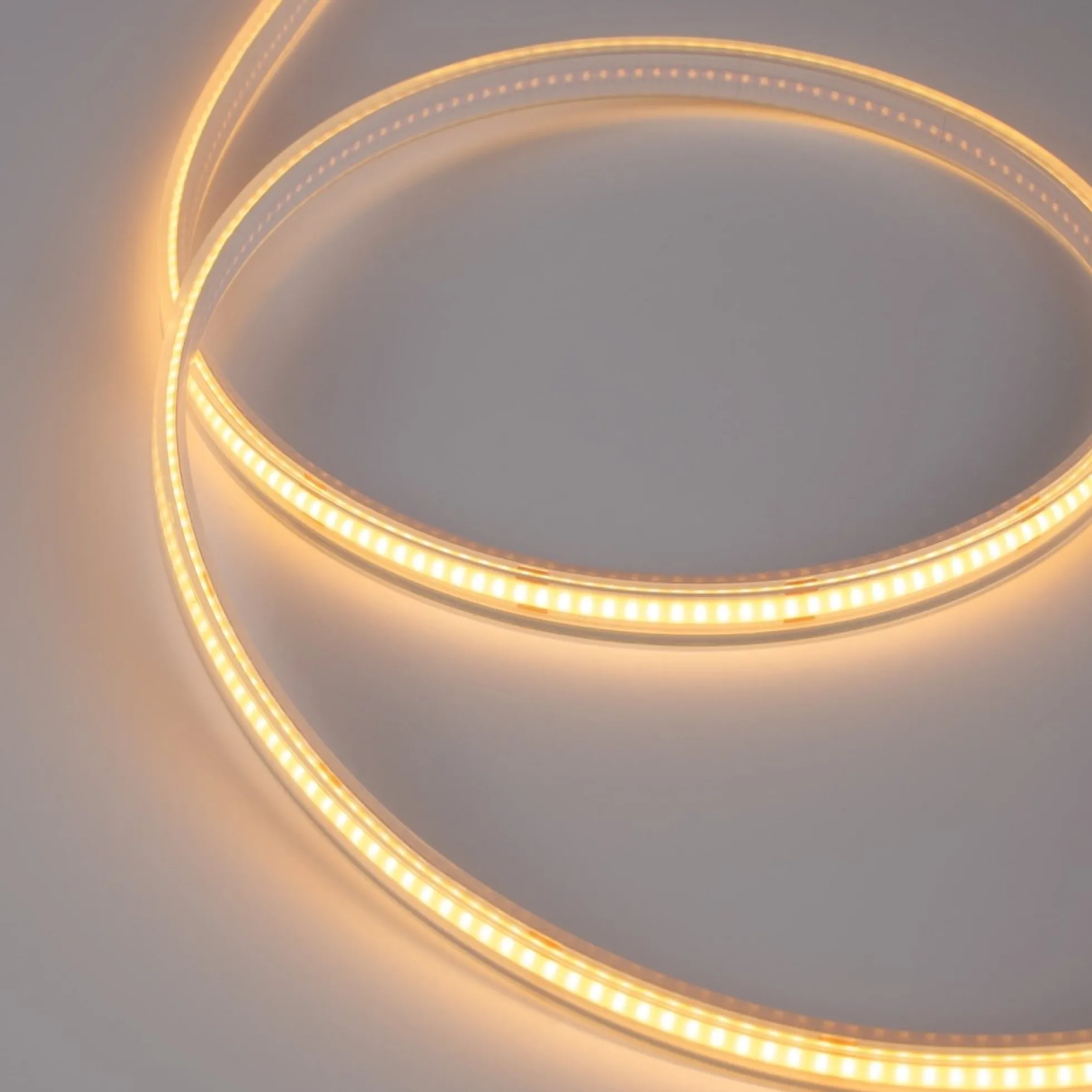 Tira LED COB 24V DC - 12W/m - 10mm - IP67 - Rollo de 5 metros - Corte cada 4cm
