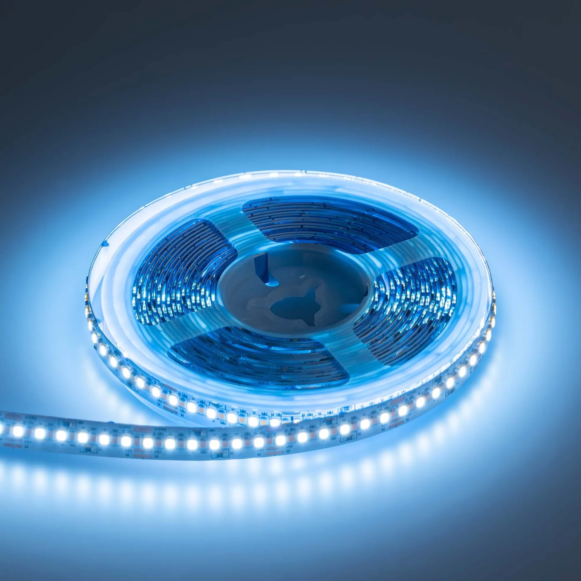 Tira LED SMD2216 - CCT - 24V DC - 30W/m - 10mm - IP20 - 5 metros