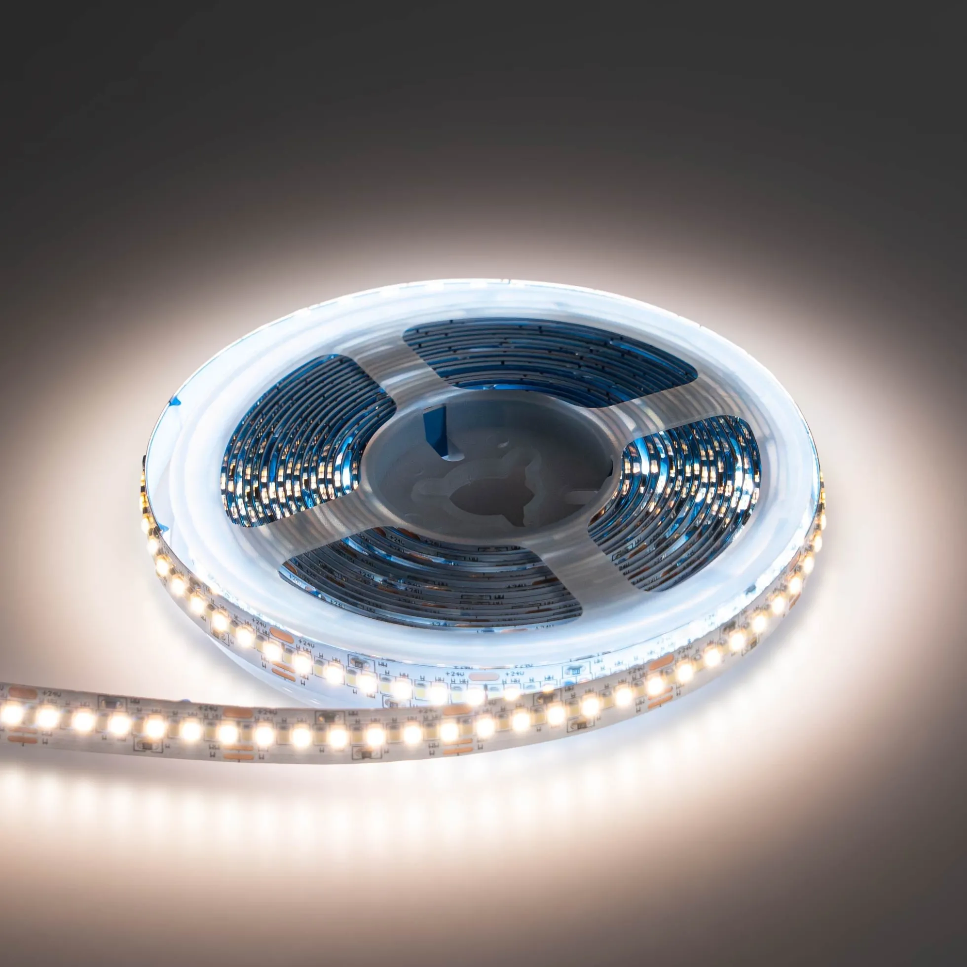 Tira LED SMD2216 - CCT - 24V DC - 30W/m - 10mm - IP20 - 5 metros