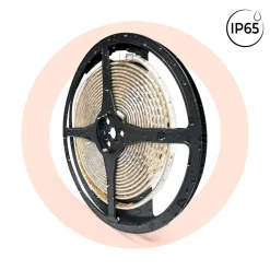 Tira LED 220V AC - Monocolor - 8W/m - 10mm - IP65 - 5 metros - 120ch/m