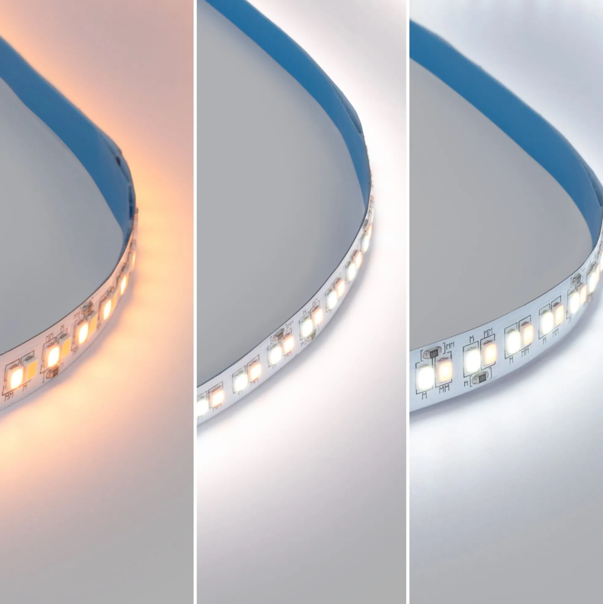 Tira LED 48V DC - CCT (1800-6500K) - 12W/m - 10mm - IP20 - 20 metros - 224ch/m