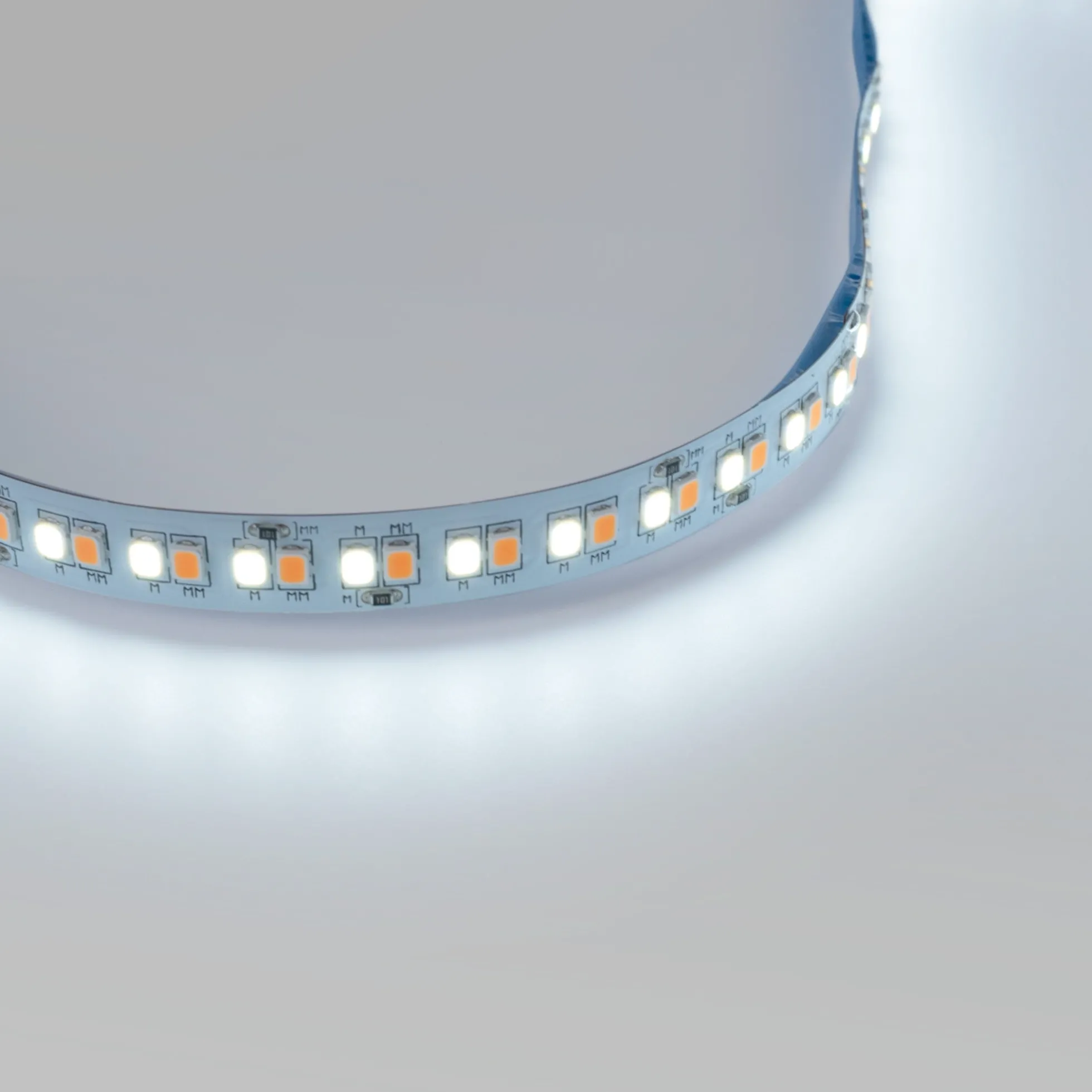 Tira LED 48V DC - CCT (1800-6500K)- 12W/m - 10mm - IP20 - 10 metros - 224ch/m