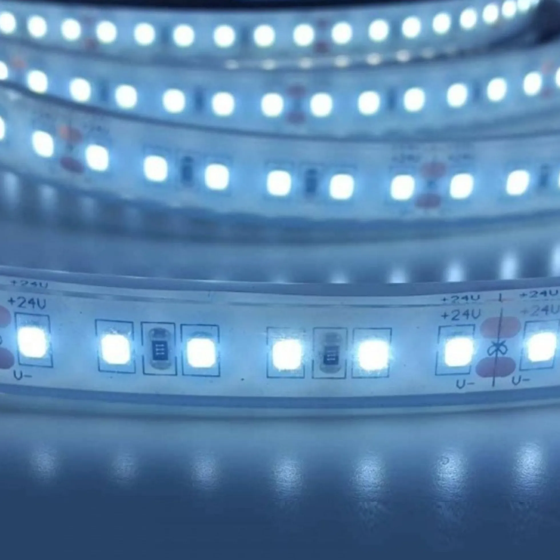 Tira LED 24V DC - Monocolor - 18W/m - 12mm - IP67 - 5 metros - 120ch/m