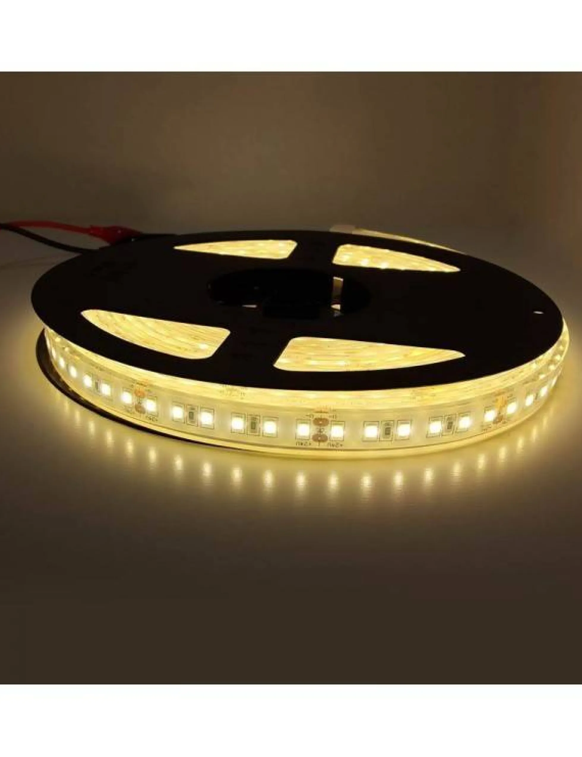 Tira LED 24V DC - Monocolor - 18W/m - 12mm - IP67 - 5 metros - 120ch/m