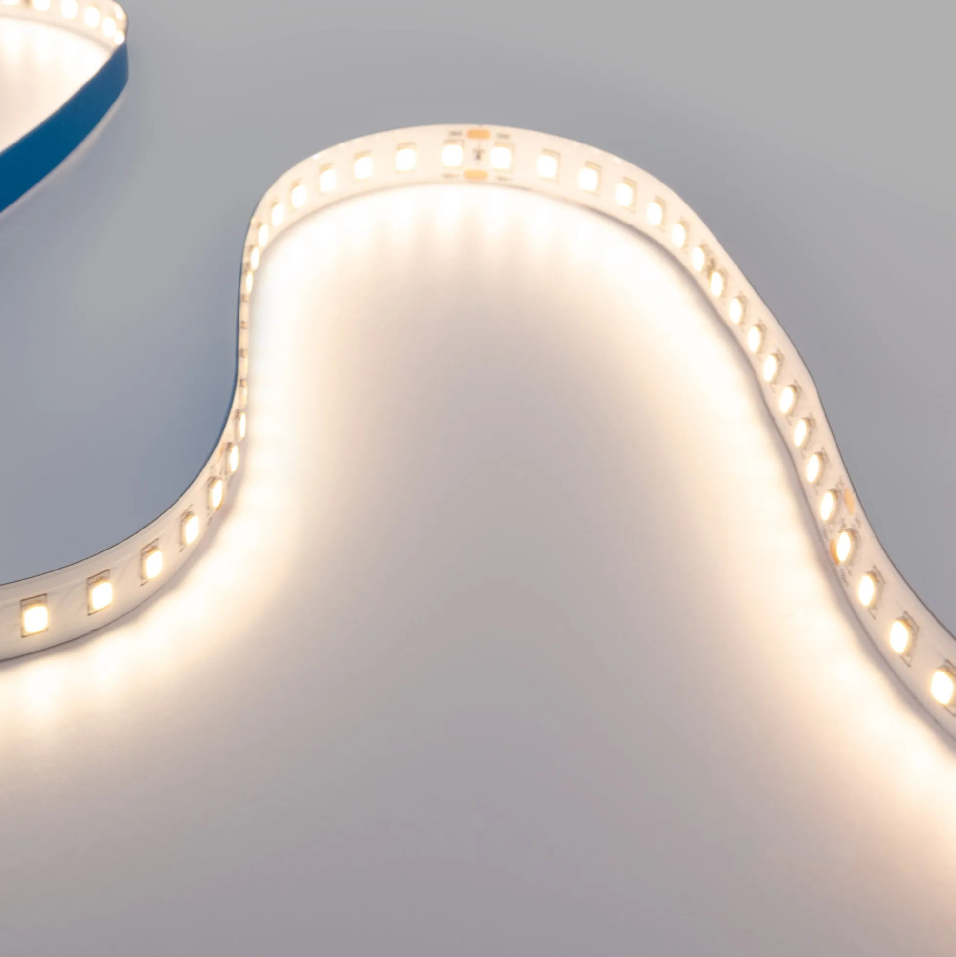 Tira LED 48V DC - Monocolor - 12W/m - 10mm - IP20 - 10 metros - 120ch/m