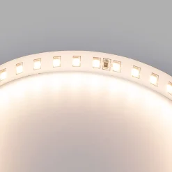 Tira LED 48V DC - Monocolor - 12W/m - 10mm - IP20 - 10 metros - 120ch/m