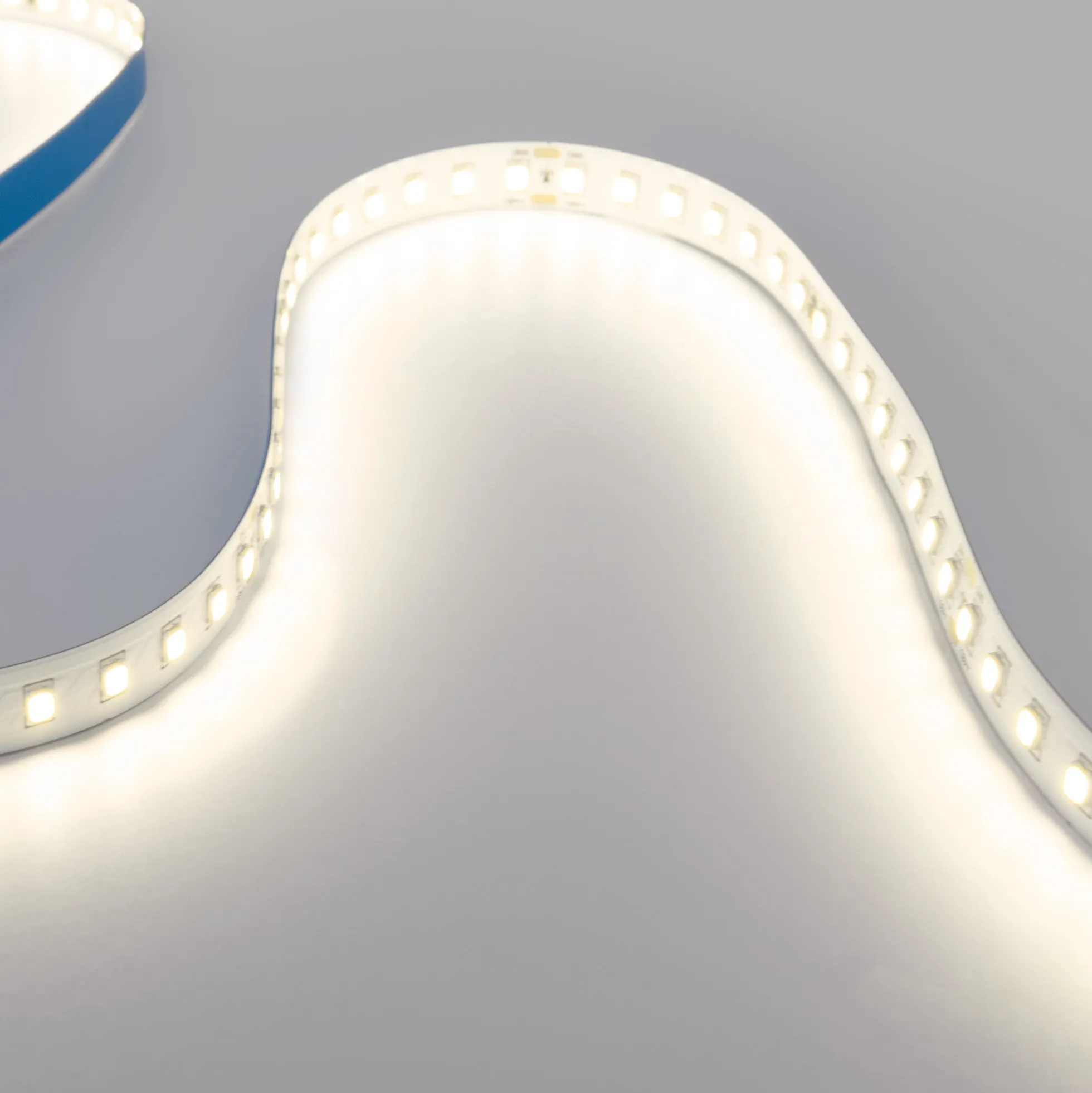 Tira LED 48V DC - Monocolor - 12W/m - 10mm - IP20 - 10 metros - 120ch/m