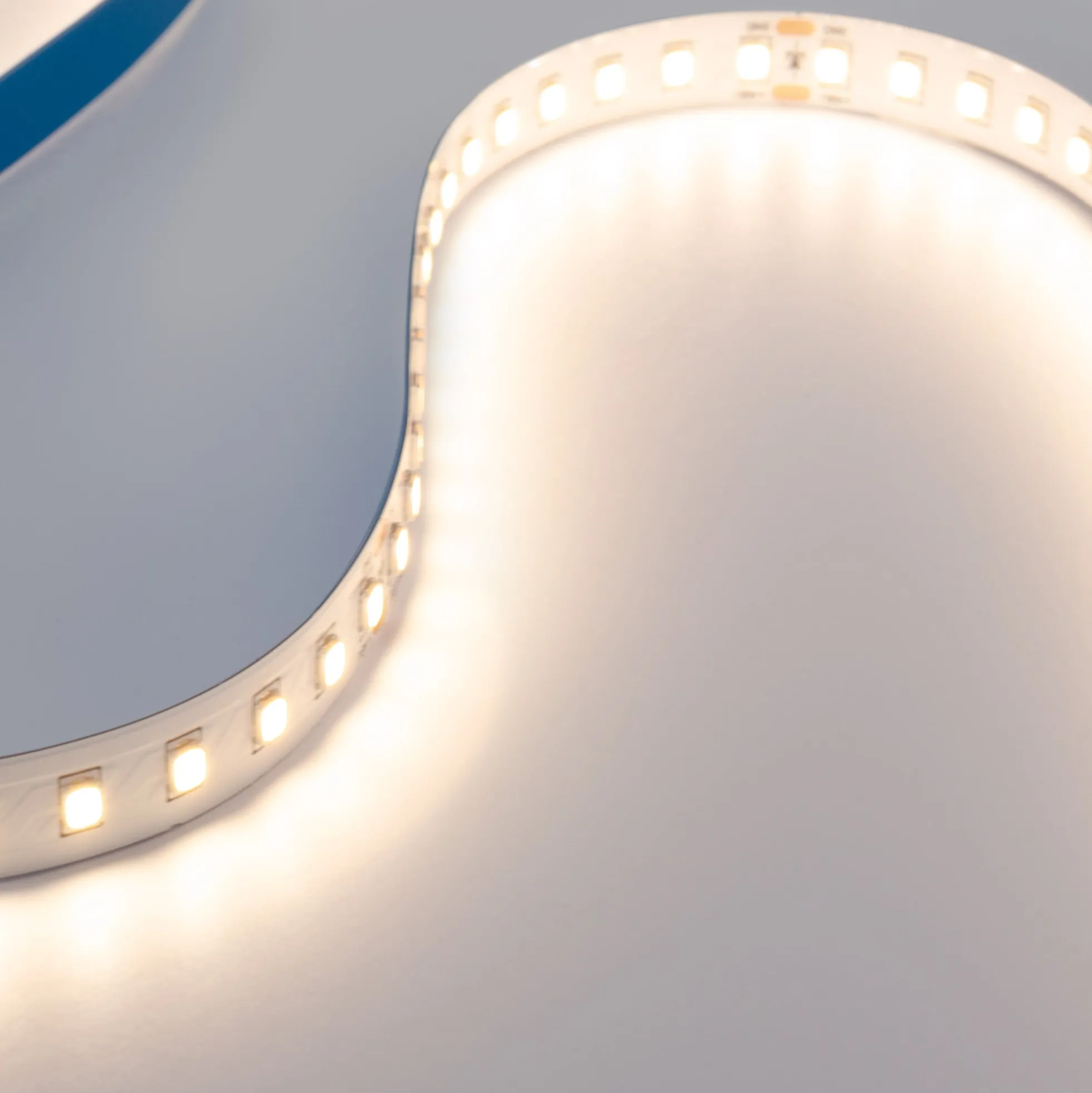 Tira LED 48V DC - Monocolor - 12W/m - 10mm - IP20 - 10 metros - 120ch/m