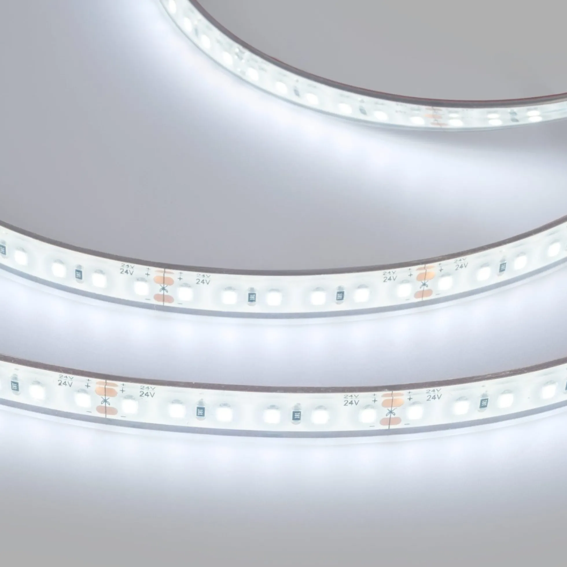 Tira LED 24V DC sumergible - Monocolor - 9.6W/m - 10mm - IP68 - 5 metros - 120ch/m