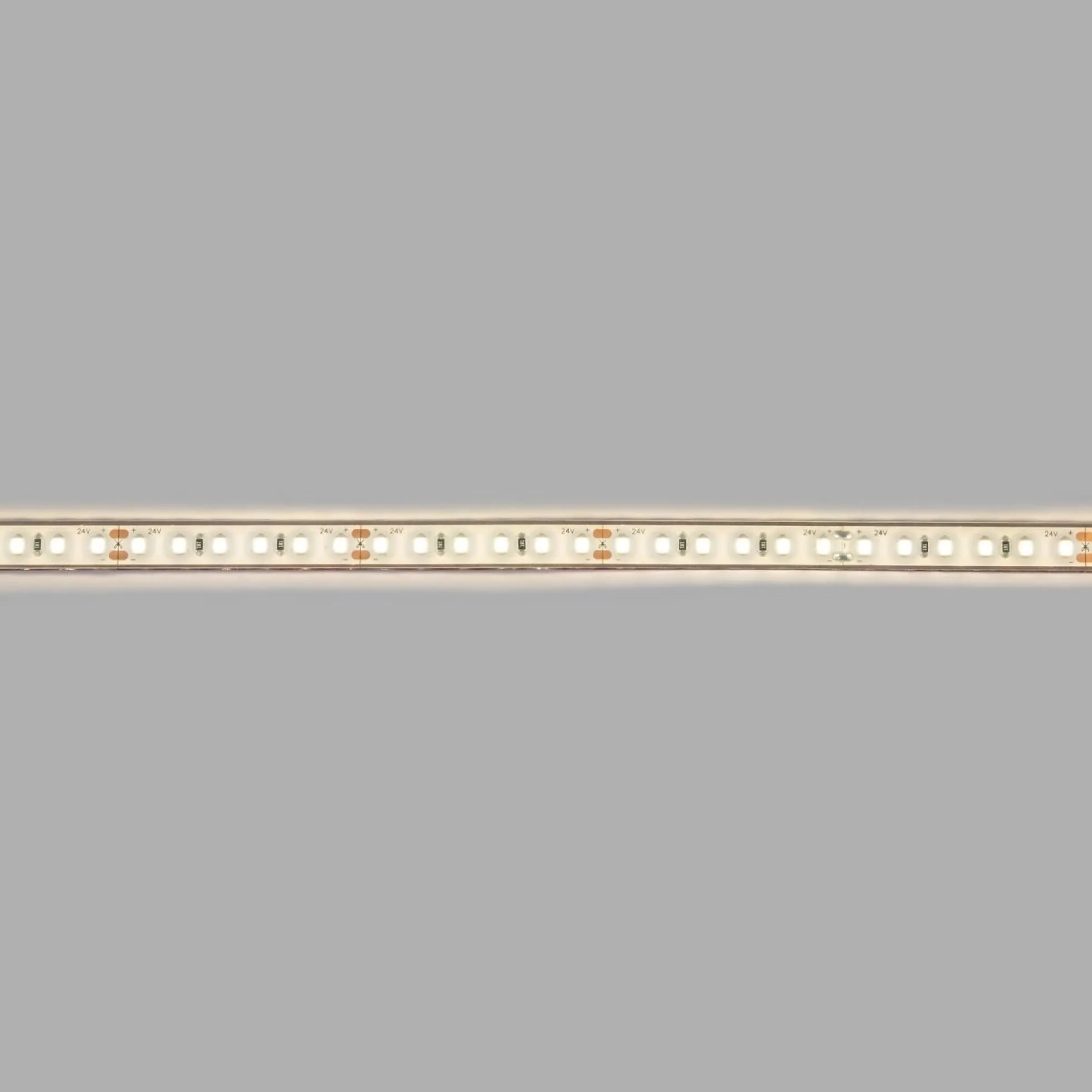 Tira LED 24V DC sumergible - Monocolor - 9.6W/m - 10mm - IP68 - 5 metros - 120ch/m