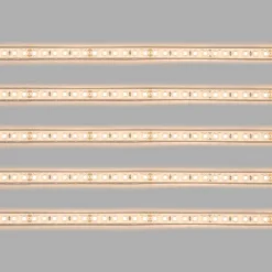 Tira LED 24V DC sumergible - Monocolor - 9.6W/m - 10mm - IP68 - 5 metros - 120ch/m