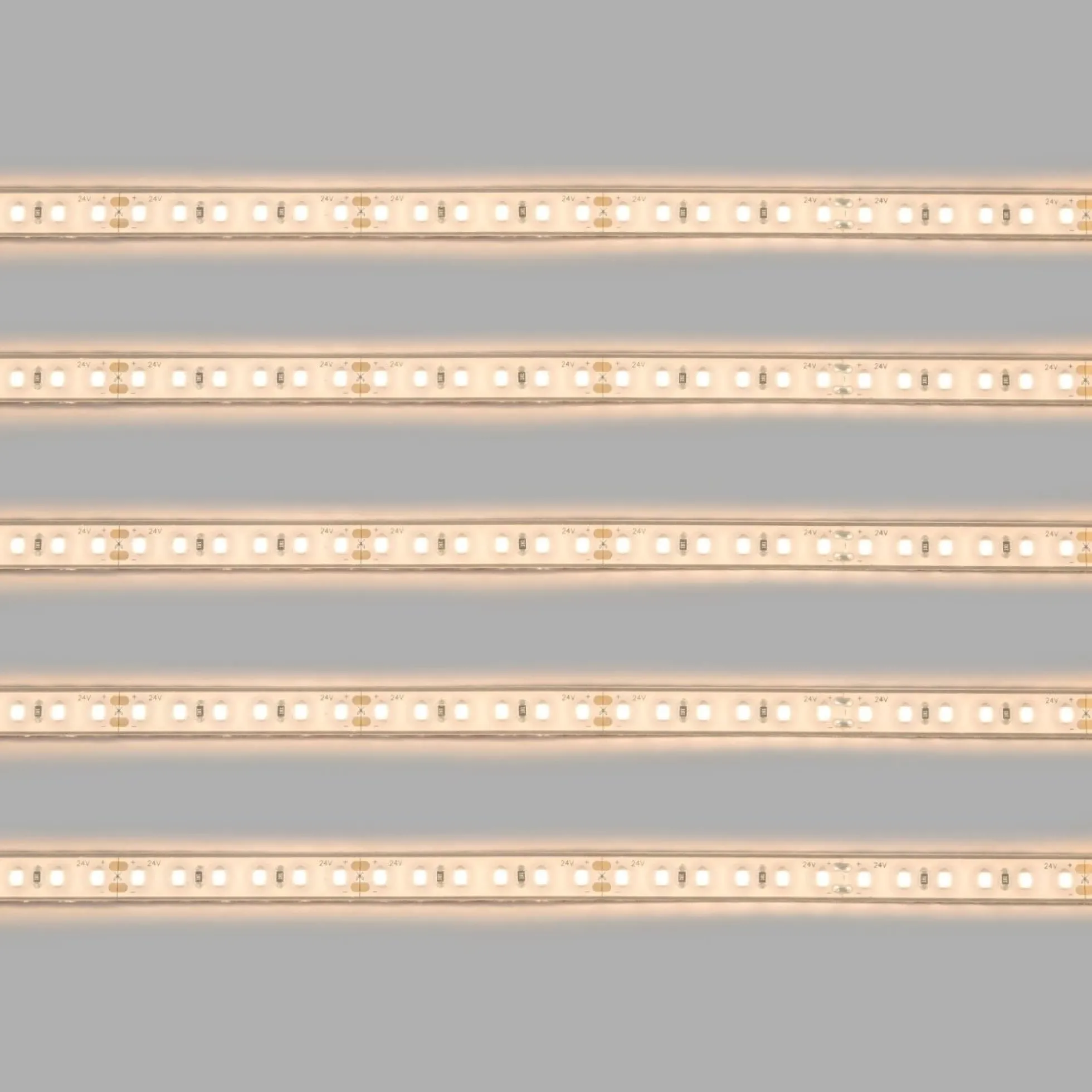 Tira LED 24V DC sumergible - Monocolor - 9.6W/m - 10mm - IP68 - 5 metros - 120ch/m