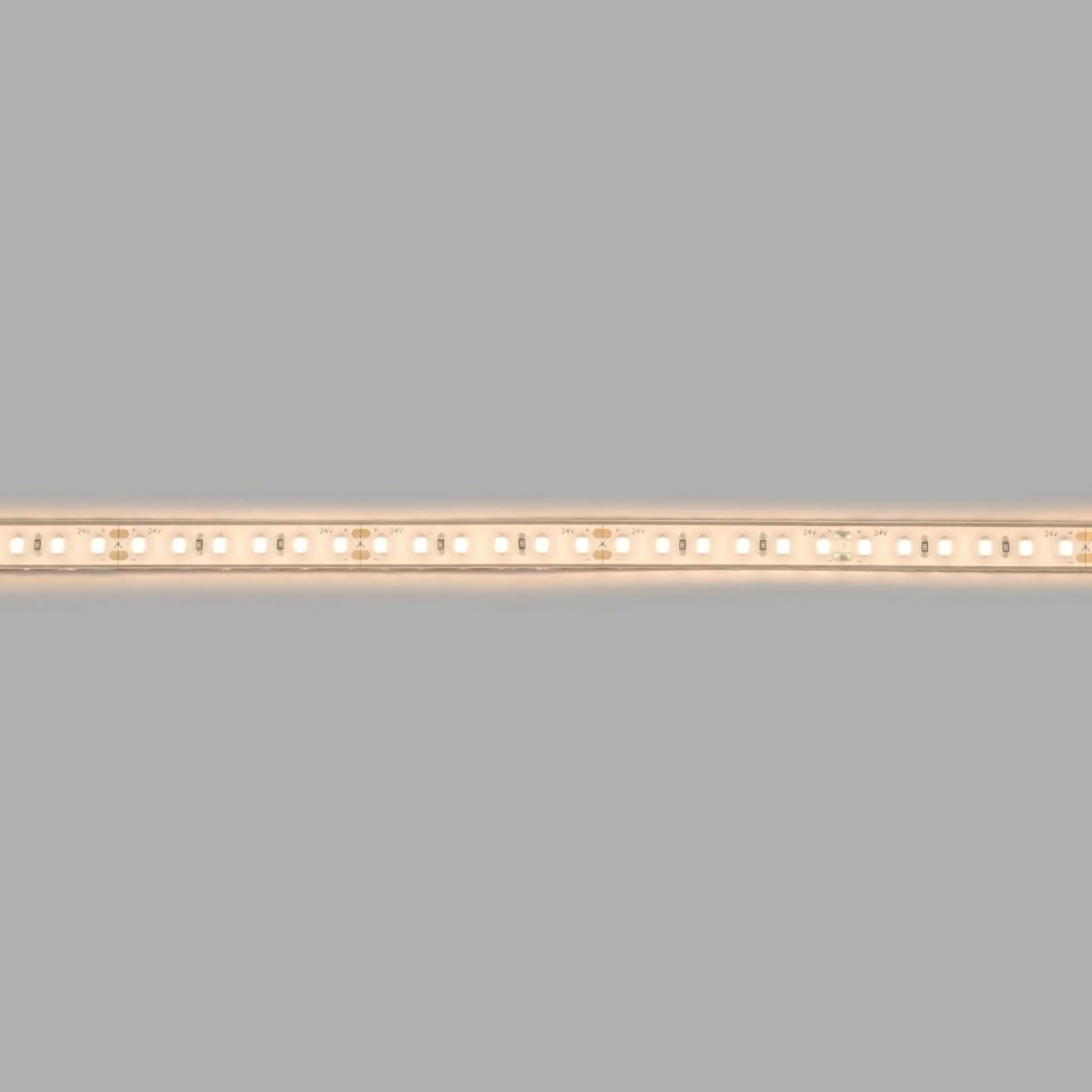 Tira LED 24V DC sumergible - Monocolor - 9.6W/m - 10mm - IP68 - 5 metros - 120ch/m