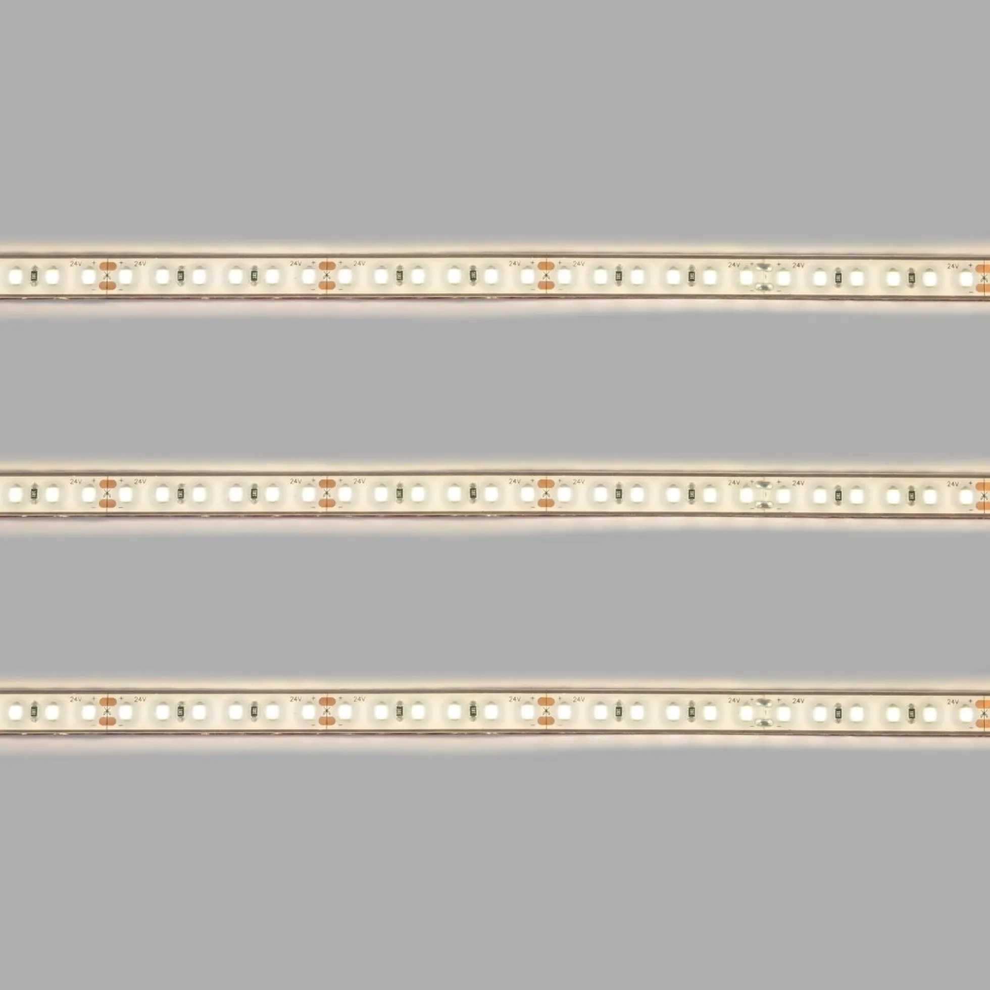 Tira LED 24V DC sumergible - Monocolor - 9.6W/m - 10mm - IP68 - 5 metros - 120ch/m