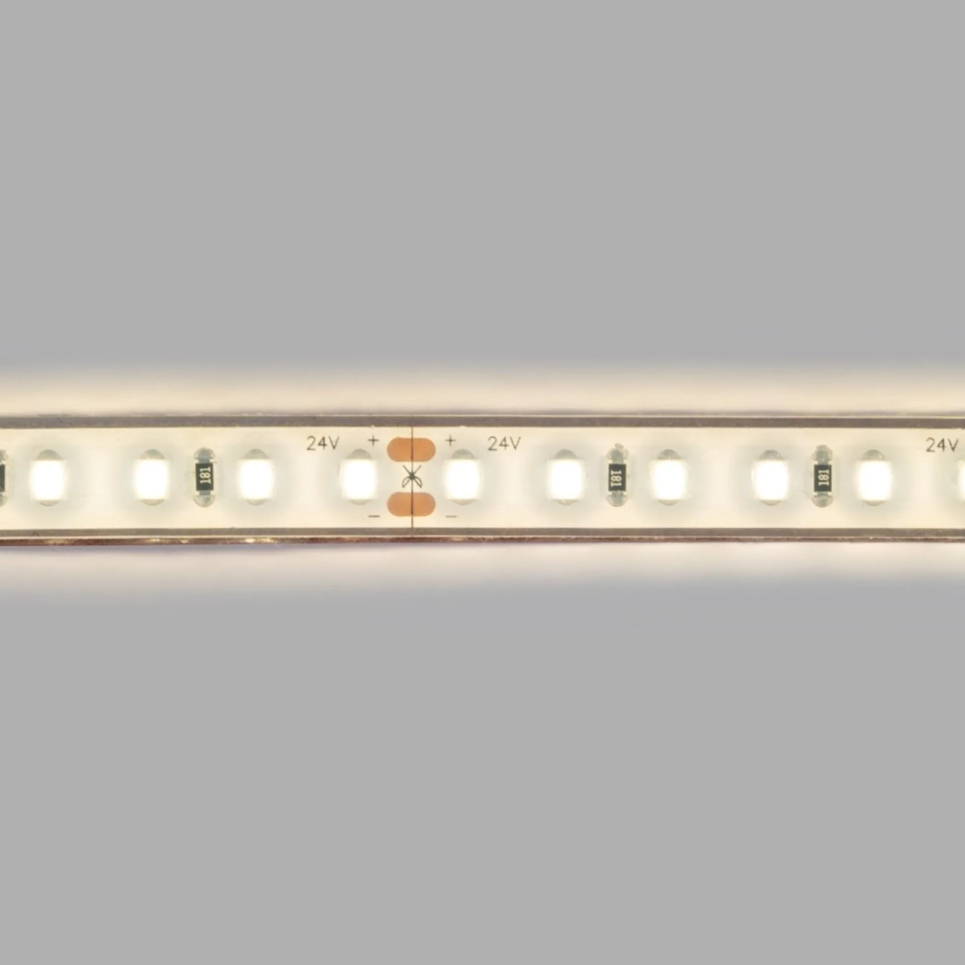 Tira LED 24V DC sumergible - Monocolor - 9.6W/m - 10mm - IP68 - 5 metros - 120ch/m