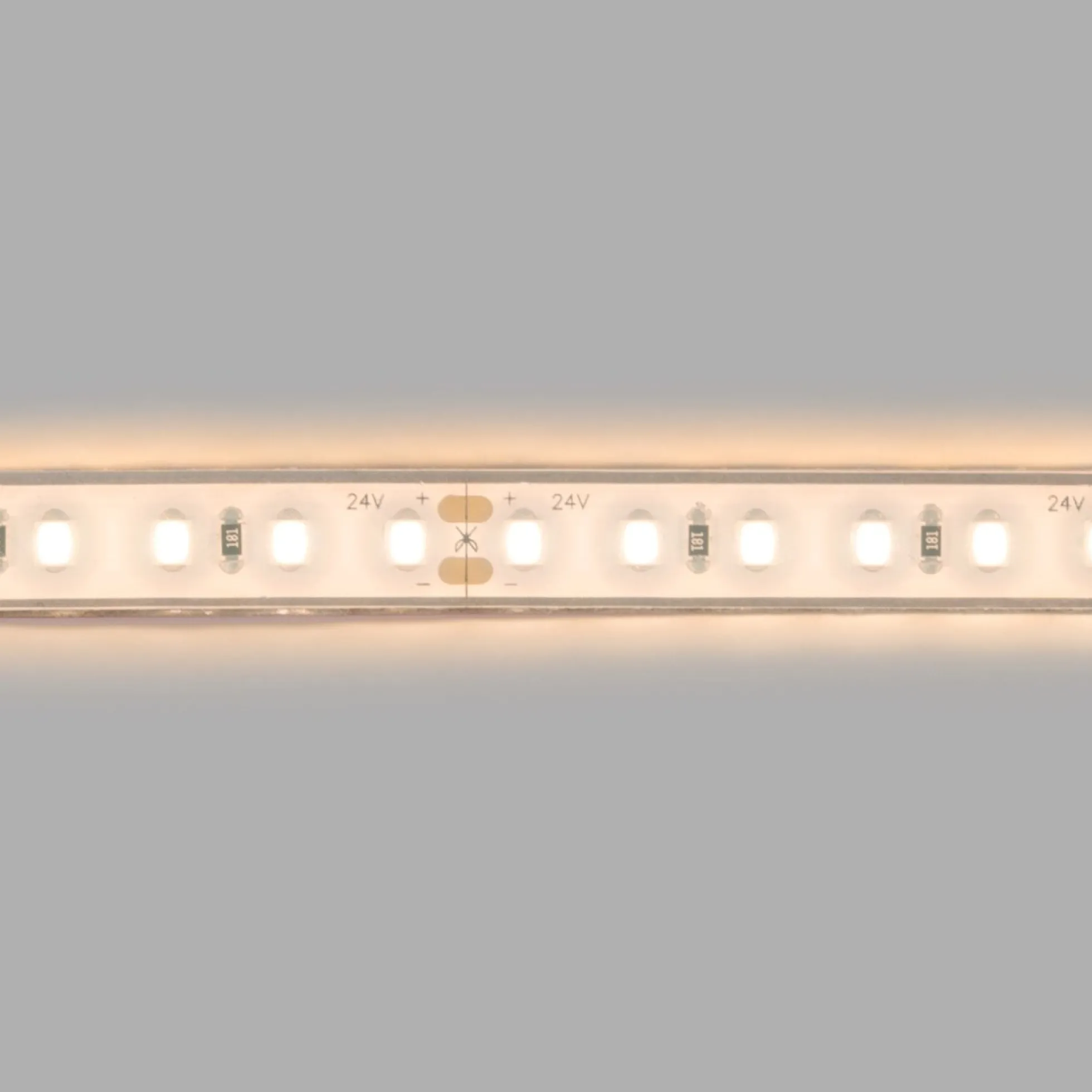 Tira LED 24V DC sumergible - Monocolor - 9.6W/m - 10mm - IP68 - 5 metros - 120ch/m