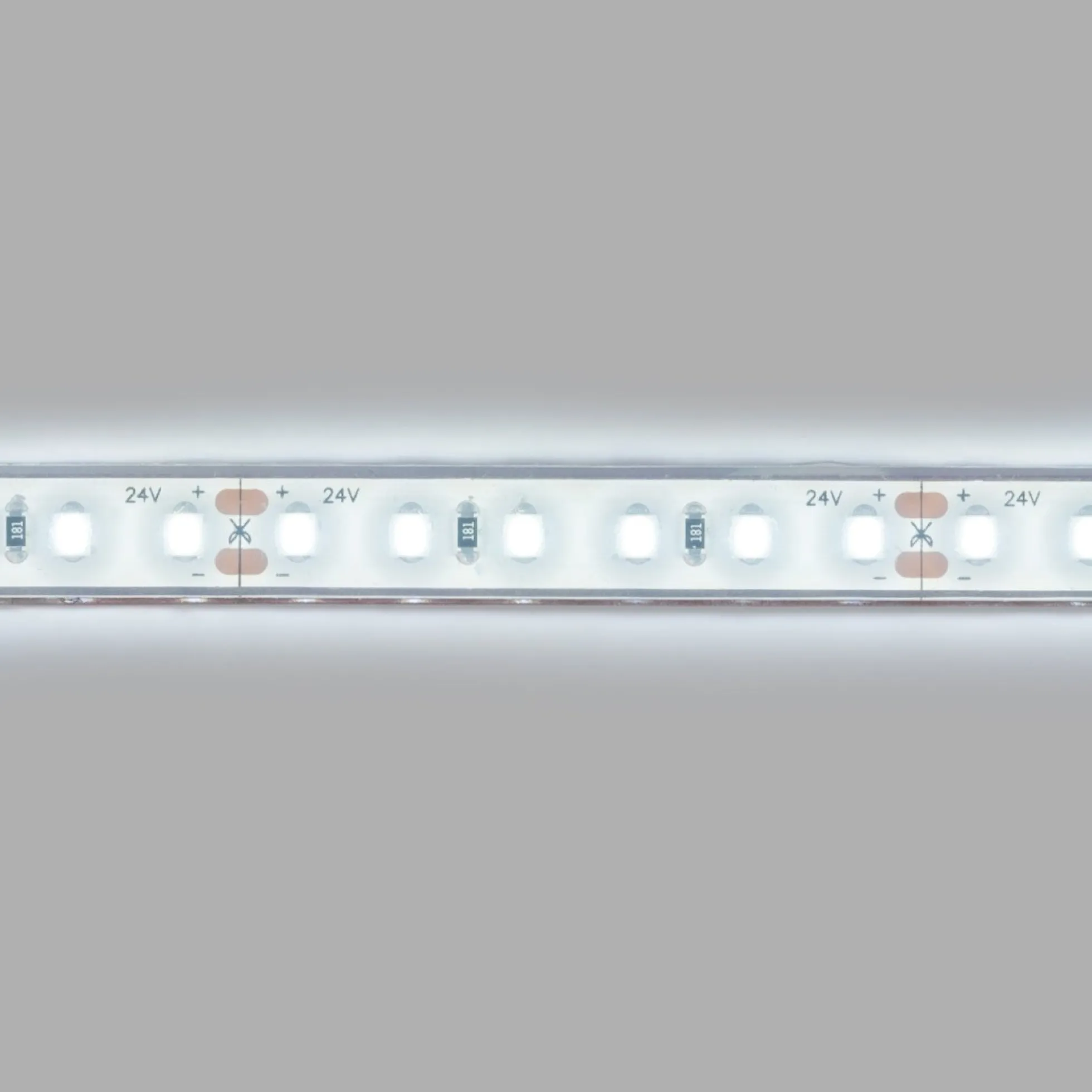 Tira LED 24V DC sumergible - Monocolor - 9.6W/m - 10mm - IP68 - 5 metros - 120ch/m