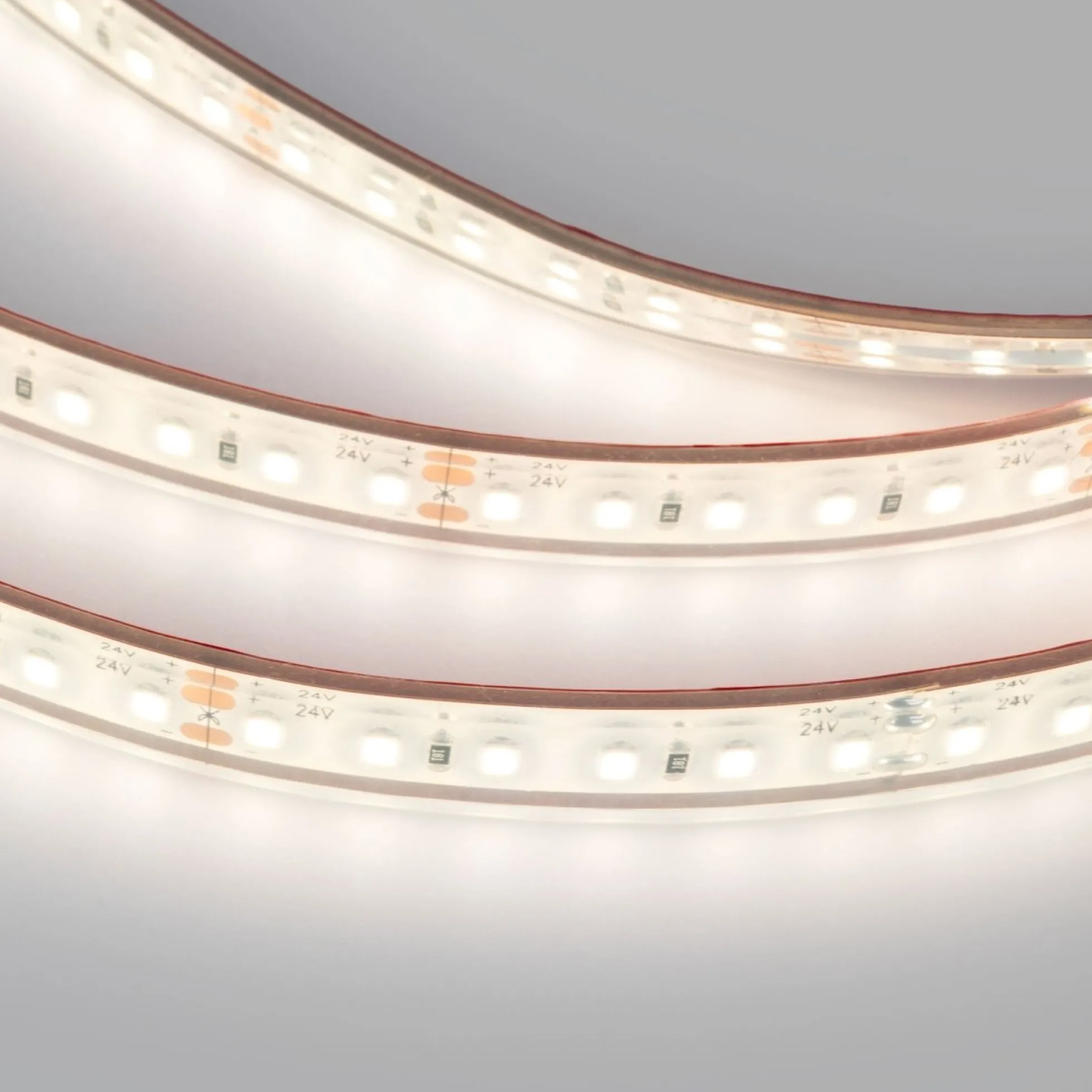 Tira LED 24V DC sumergible - Monocolor - 9.6W/m - 10mm - IP68 - 5 metros - 120ch/m