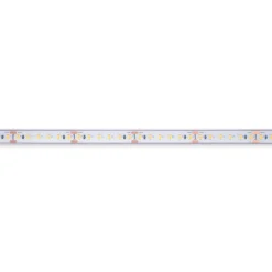 Tira LED 24V DC sumergible - Monocolor - 9.6W/m - 12mm - IP68 - 10 metros - 120ch/m