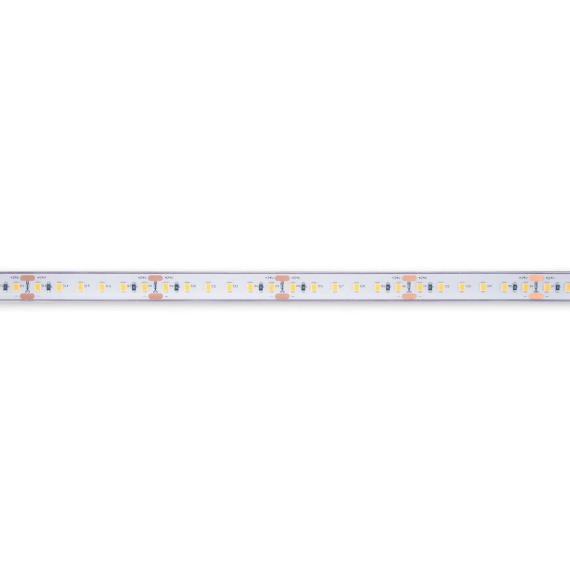 Tira LED 24V DC sumergible - Monocolor - 9.6W/m - 12mm - IP68 - 10 metros - 120ch/m