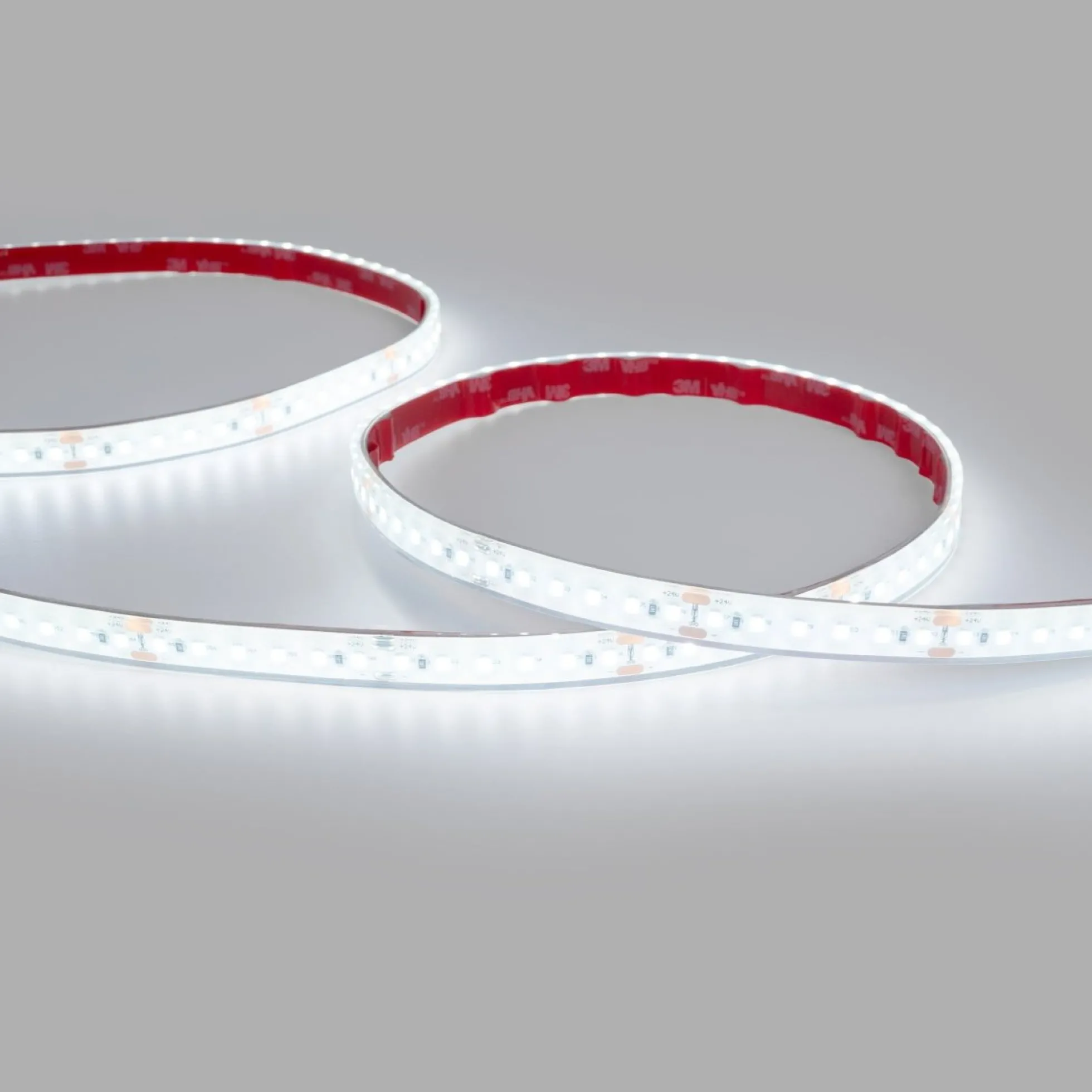 Tira LED 24V DC sumergible - Monocolor - 9.6W/m - 12mm - IP68 - 10 metros - 120ch/m