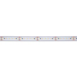 Tira LED 24V DC sumergible - Monocolor - 9.6W/m - 12mm - IP68 - 10 metros - 120ch/m