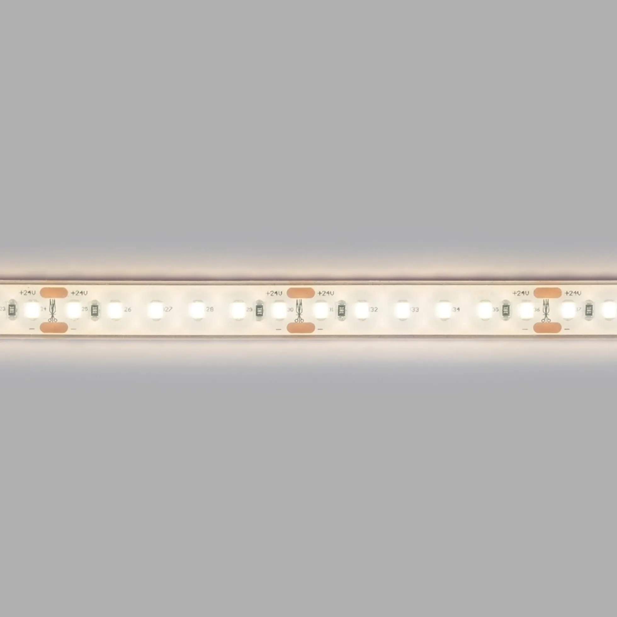Tira LED 24V DC sumergible - Monocolor - 9.6W/m - 12mm - IP68 - 10 metros - 120ch/m