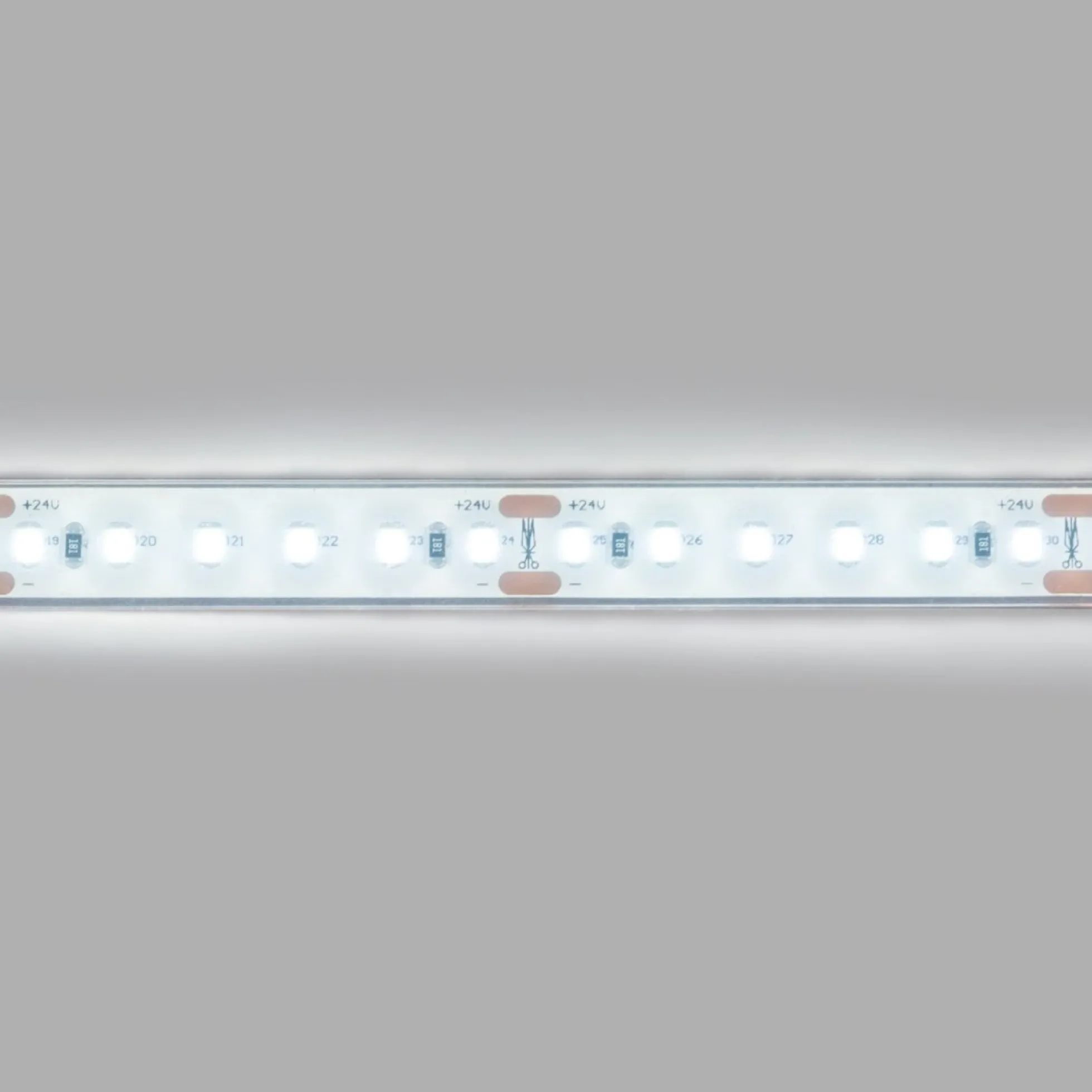 Tira LED 24V DC sumergible - Monocolor - 9.6W/m - 12mm - IP68 - 10 metros - 120ch/m